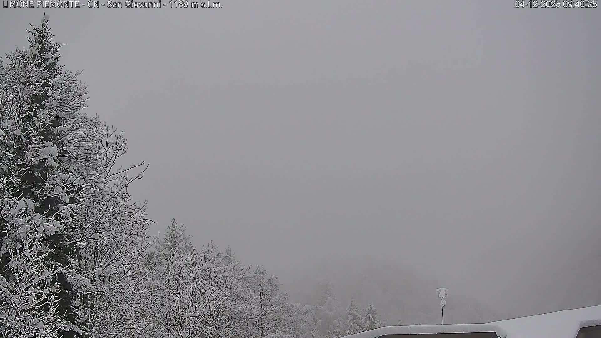 A wintry scene displays snow-laden trees and a snow-covered roof under a completely overcast, grey sky, indicating foggy conditions and low visibility.