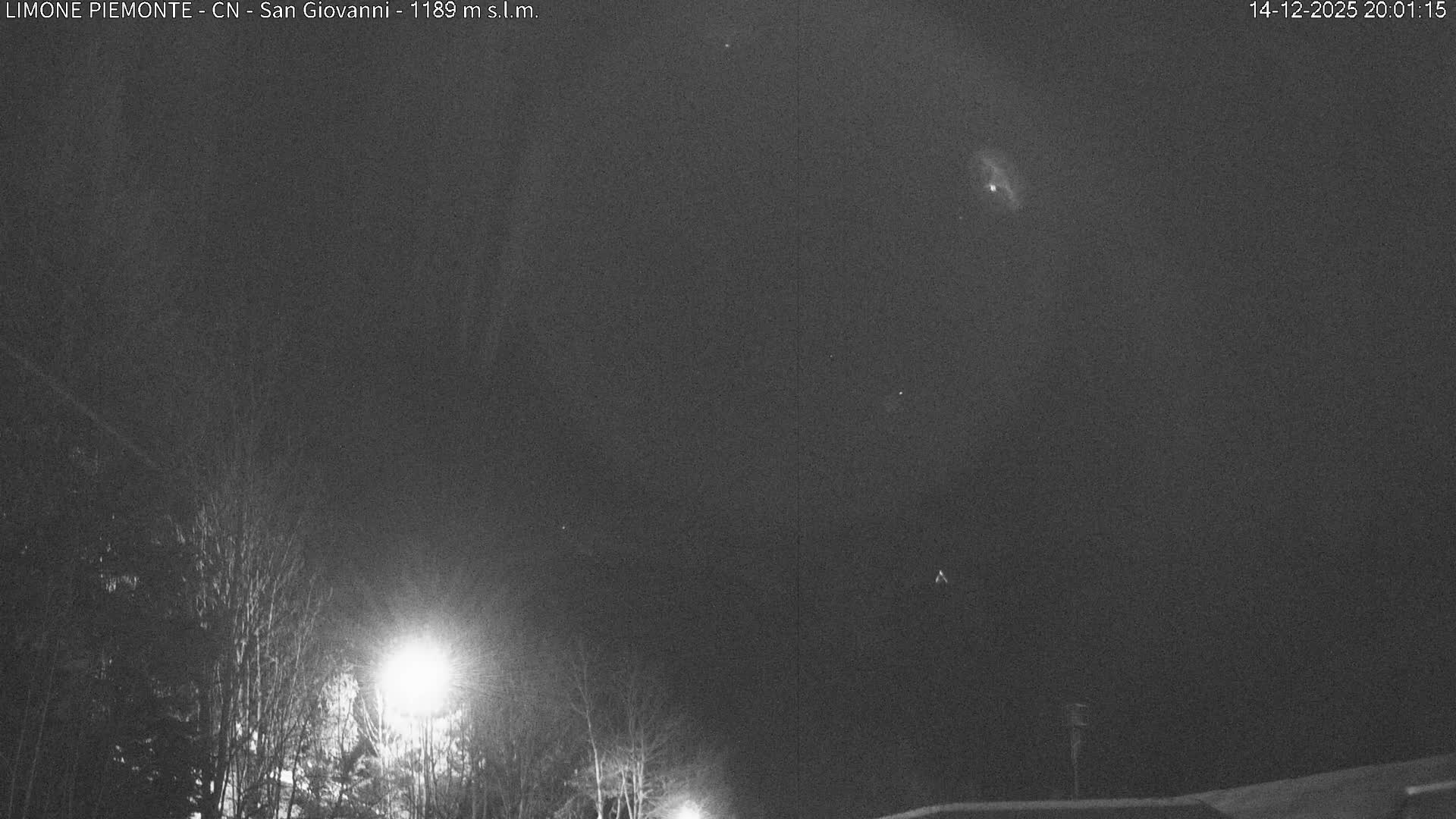 A wintry scene displays snow-laden trees and a snow-covered roof under a completely overcast, grey sky, indicating foggy conditions and low visibility.