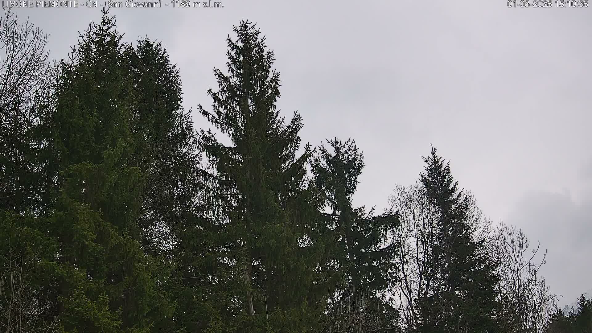 Limone Piemonte,  San Giovanni Live Cam - Cuneo, Piedmont, Italy