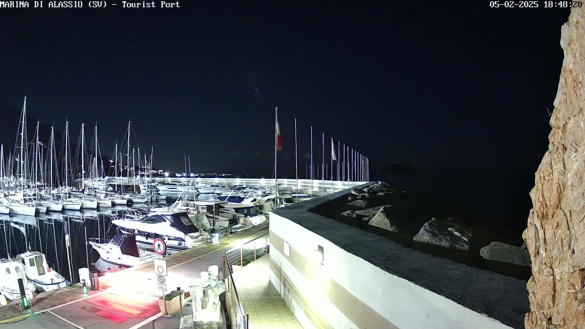 A marina filled with boats is illuminated at night under a clear, dark sky.