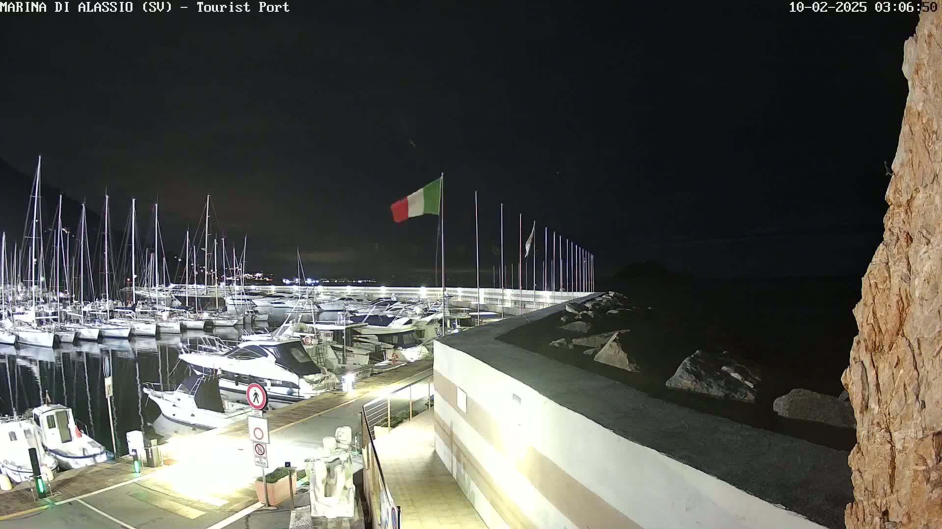 A marina at night, filled with boats, is seen from a high vantage point overlooking a calm, dark body of water under a clear, dark sky.