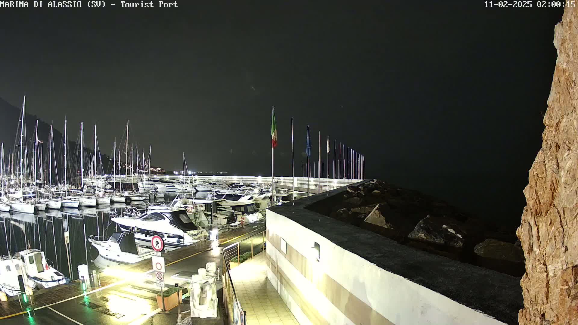 A nighttime view of a marina filled with boats under a dark, possibly overcast sky, with wet pavement visible in the foreground.