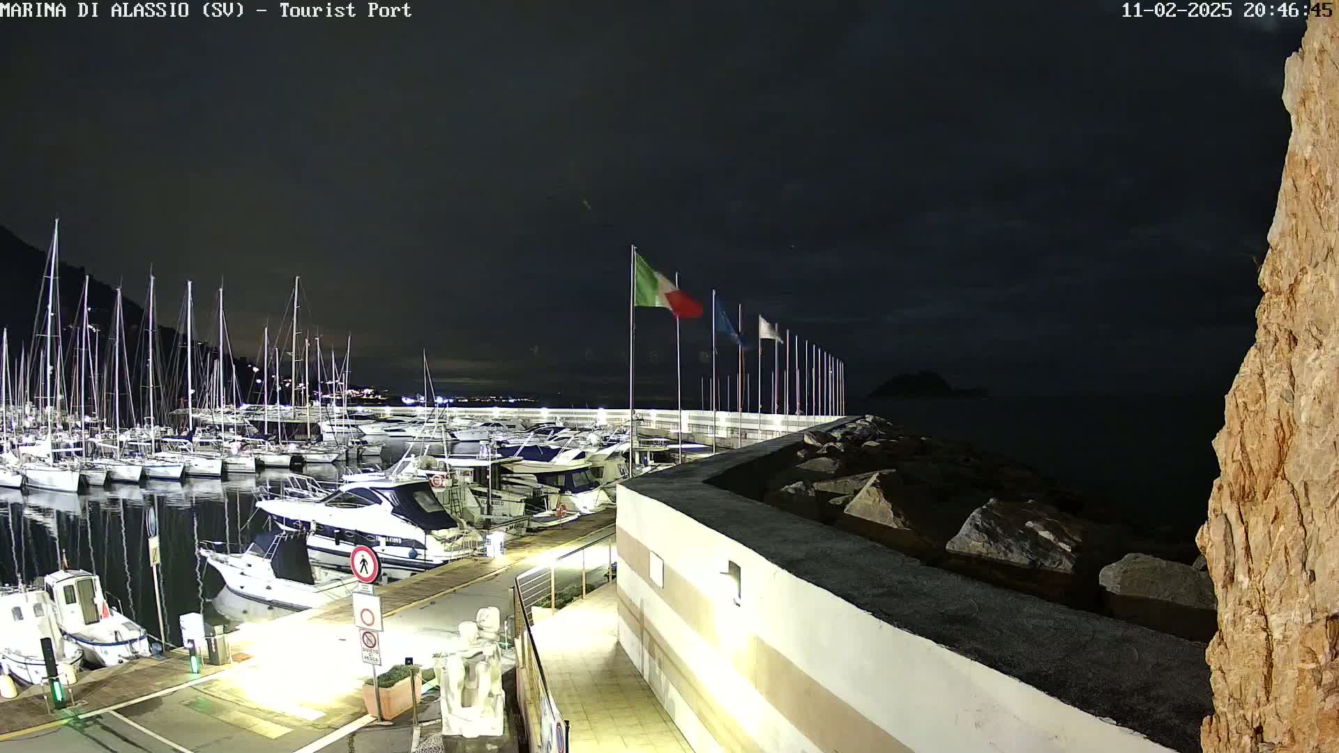 A nighttime view of a marina filled with boats, under a dark sky.