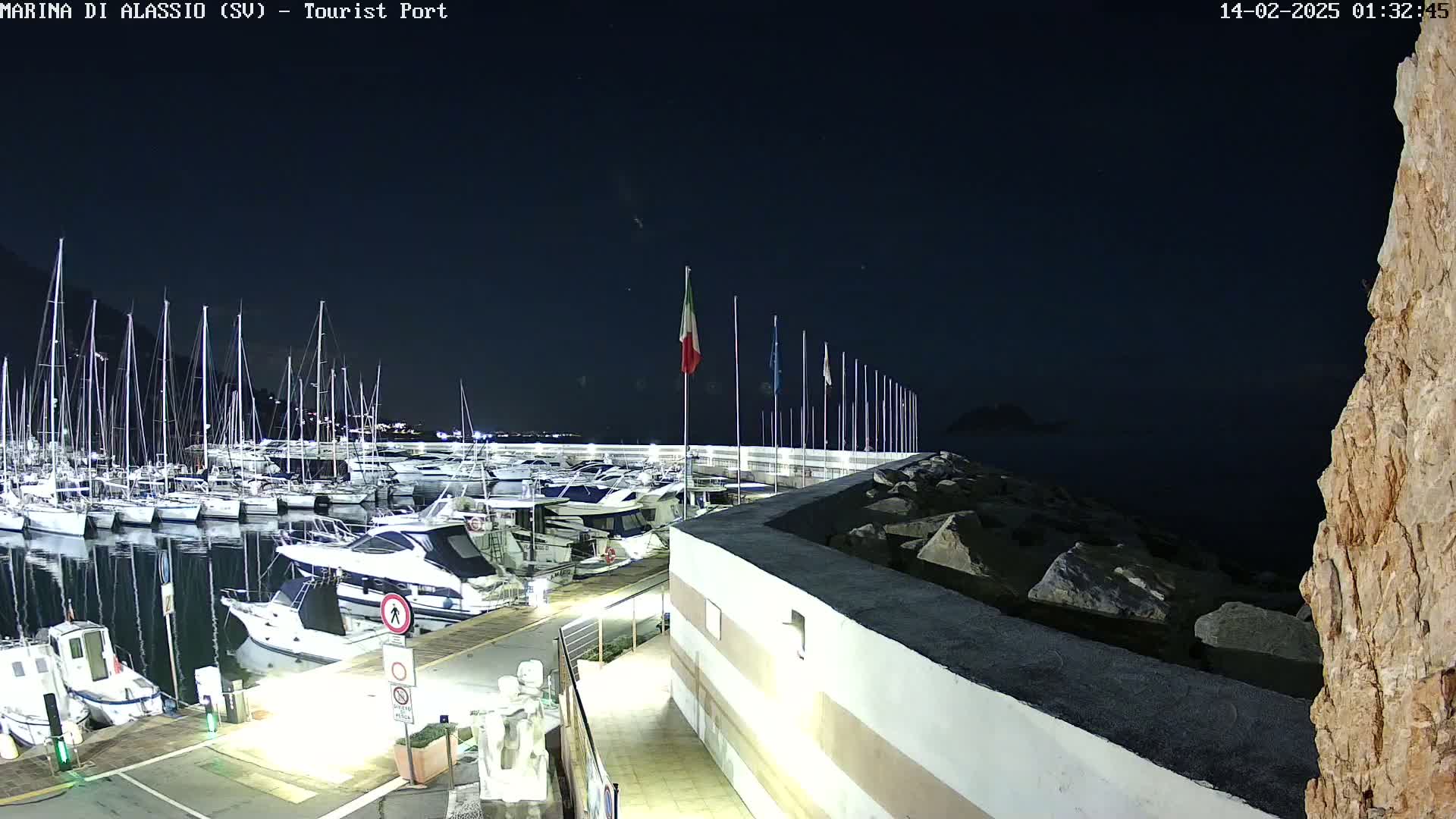 A marina filled with boats at night under a dark sky.
