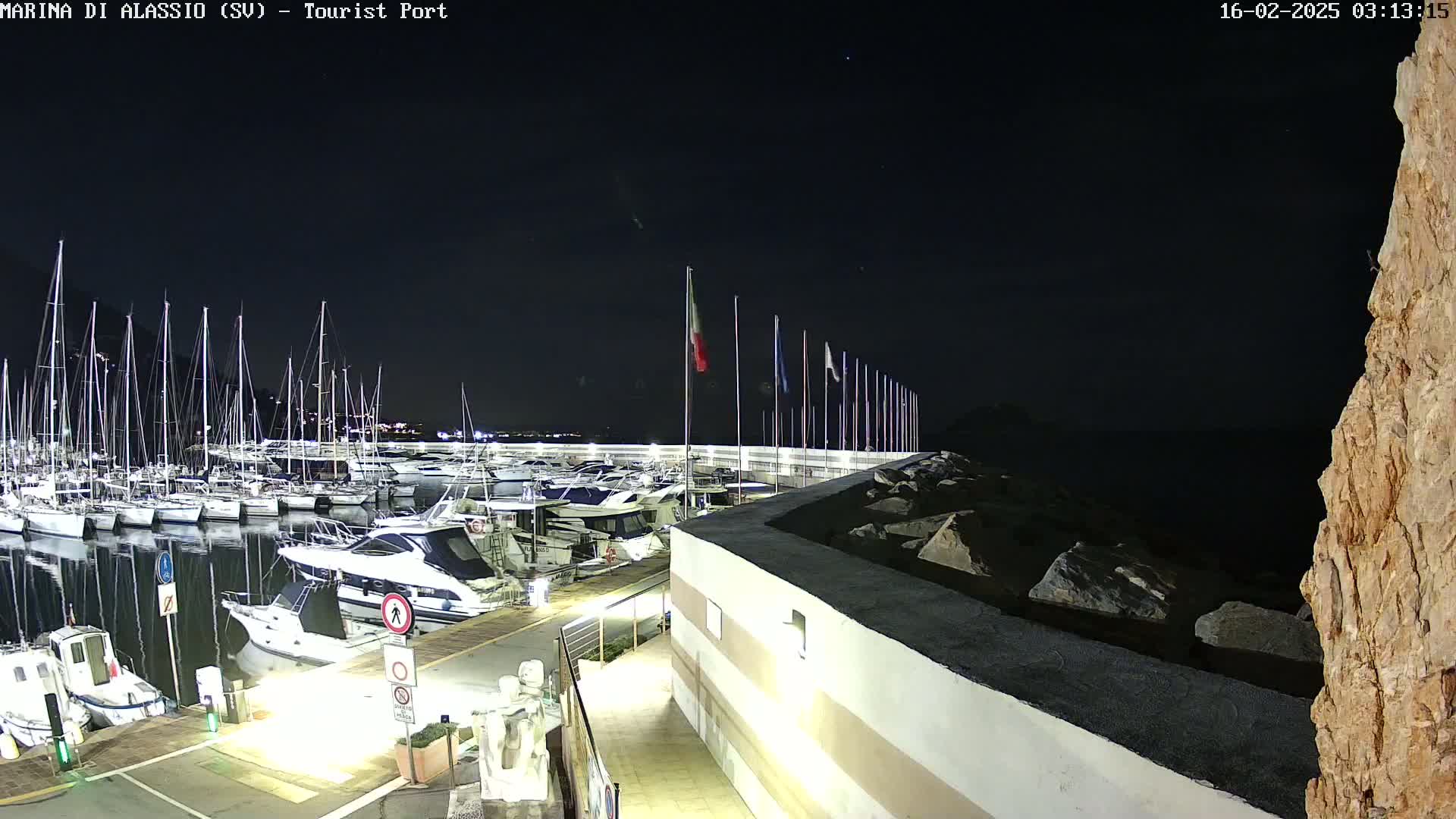 A nighttime view of a marina filled with sailboats and motorboats, under a clear, dark sky.