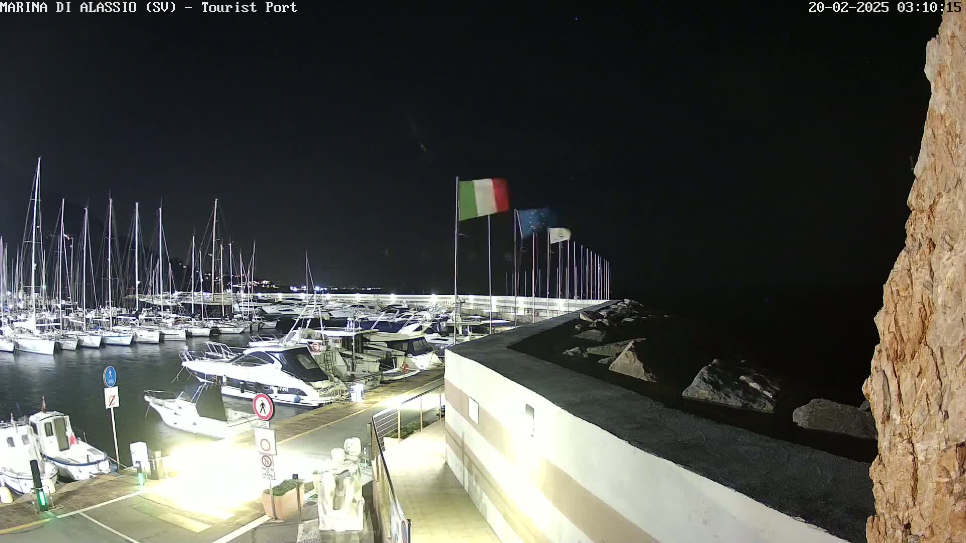 A marina at night, filled with docked sailboats and motorboats, under a clear, dark sky.
