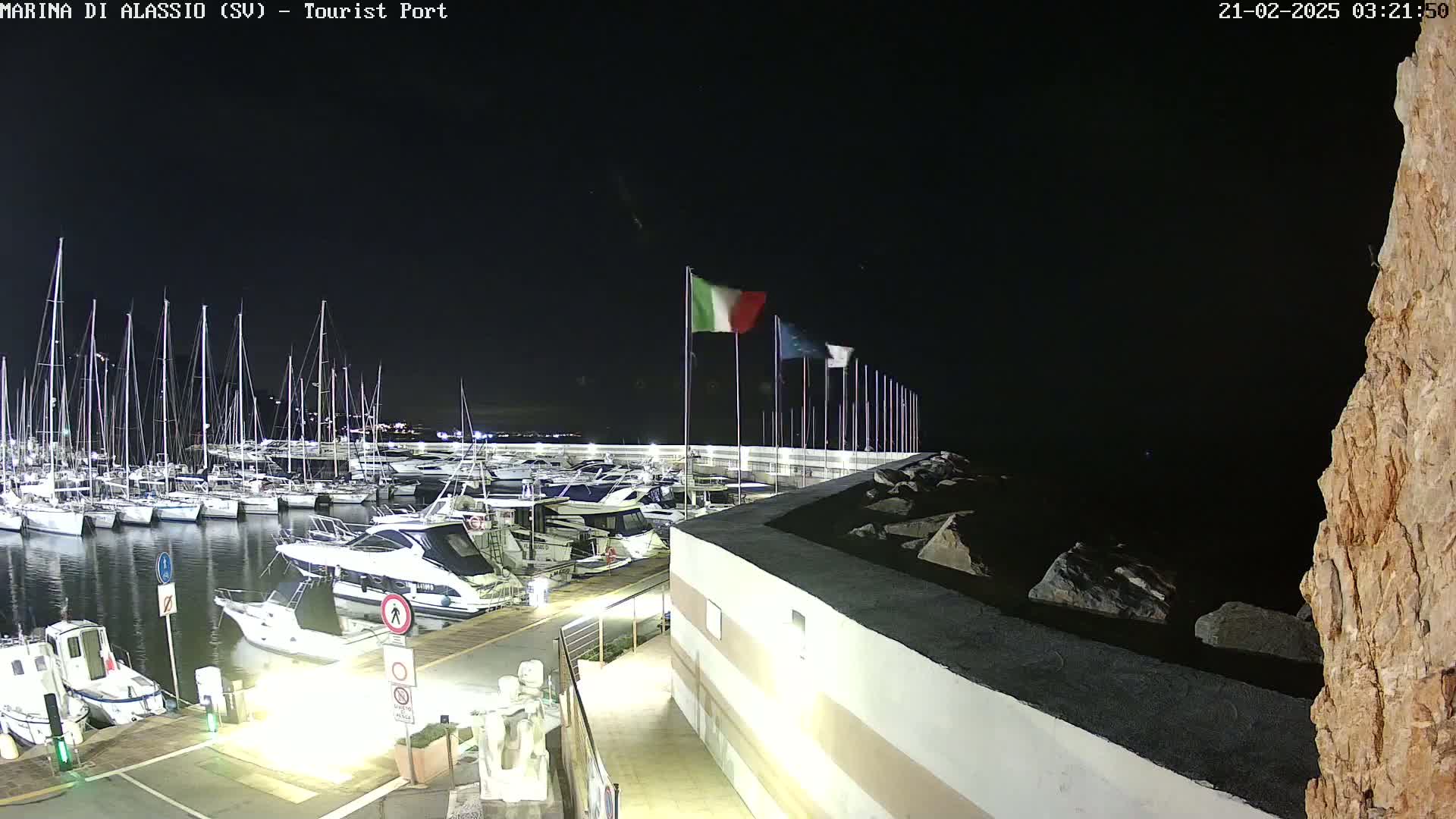 A nighttime view of a marina filled with sailboats and motorboats, illuminated under a clear, dark sky.
