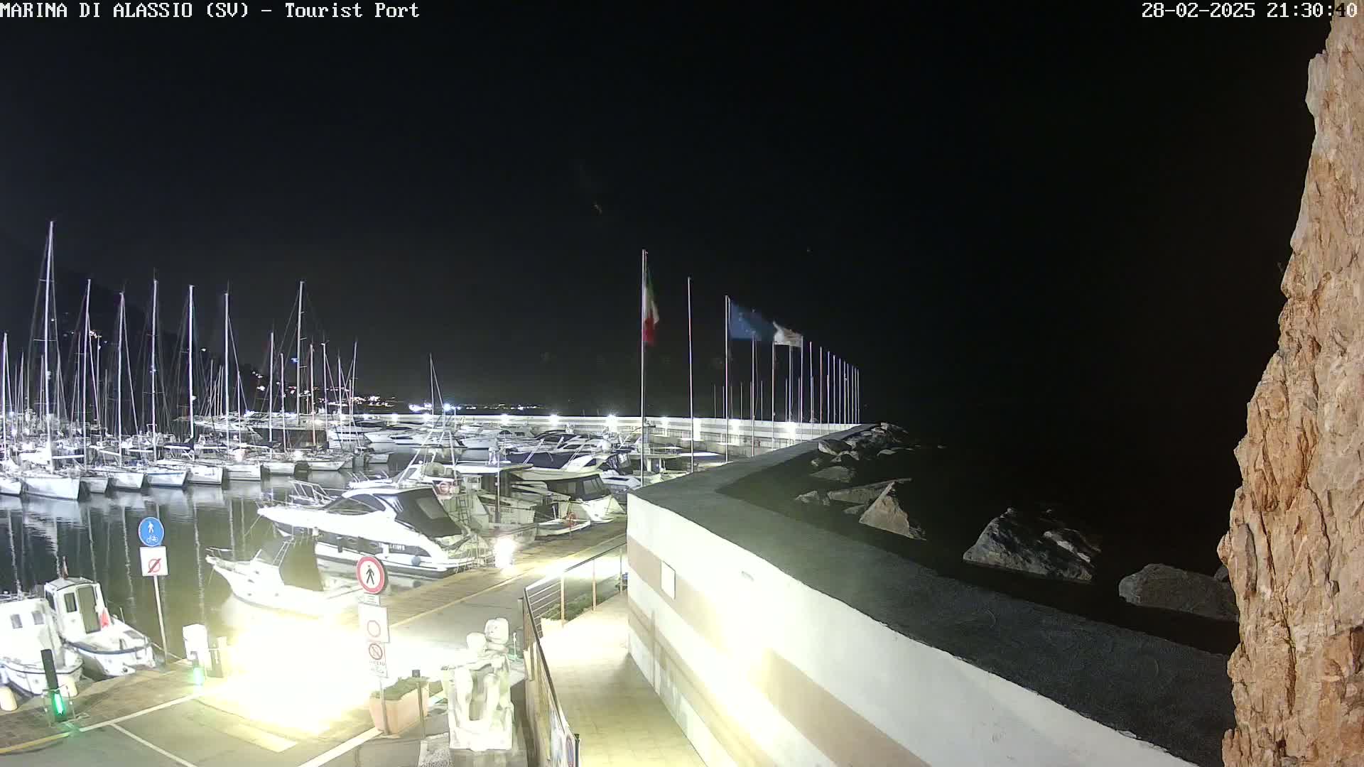 A nighttime view of a marina filled with boats, under a clear, dark sky.