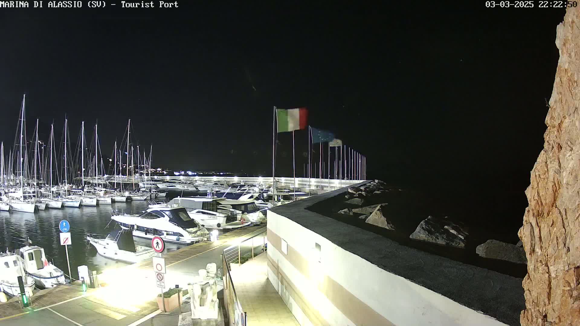 A marina at night, filled with numerous sailboats and motorboats, under a clear, dark sky.