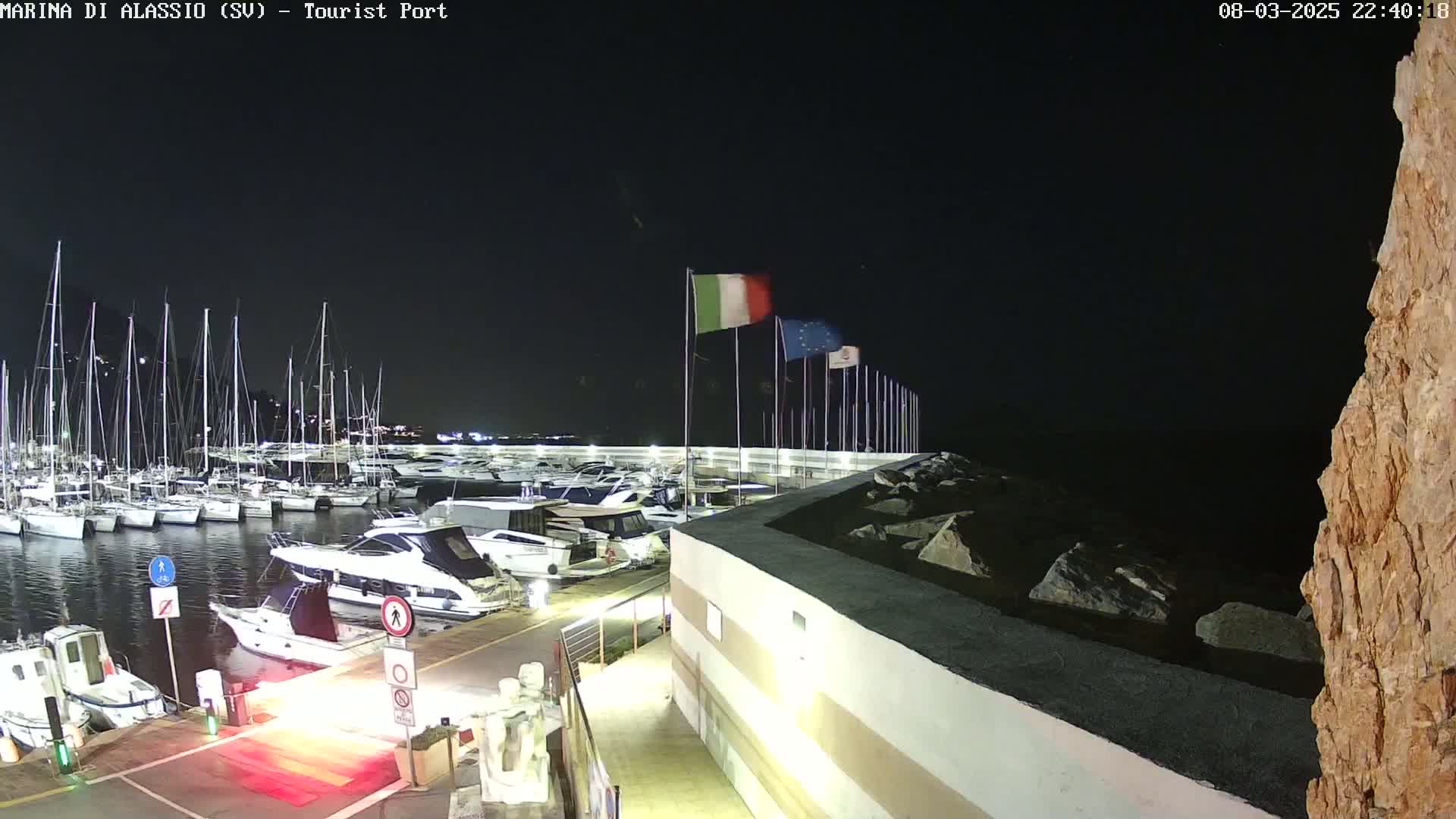 A nighttime view of a marina filled with sailboats and motorboats, under a clear, dark sky.