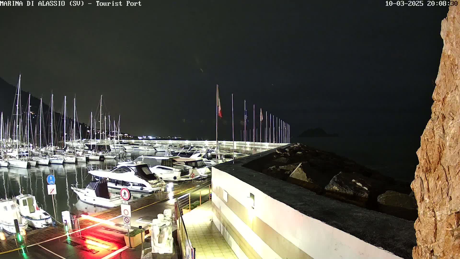 A nighttime view of a marina with numerous boats docked, under a dark sky with a wet surface.