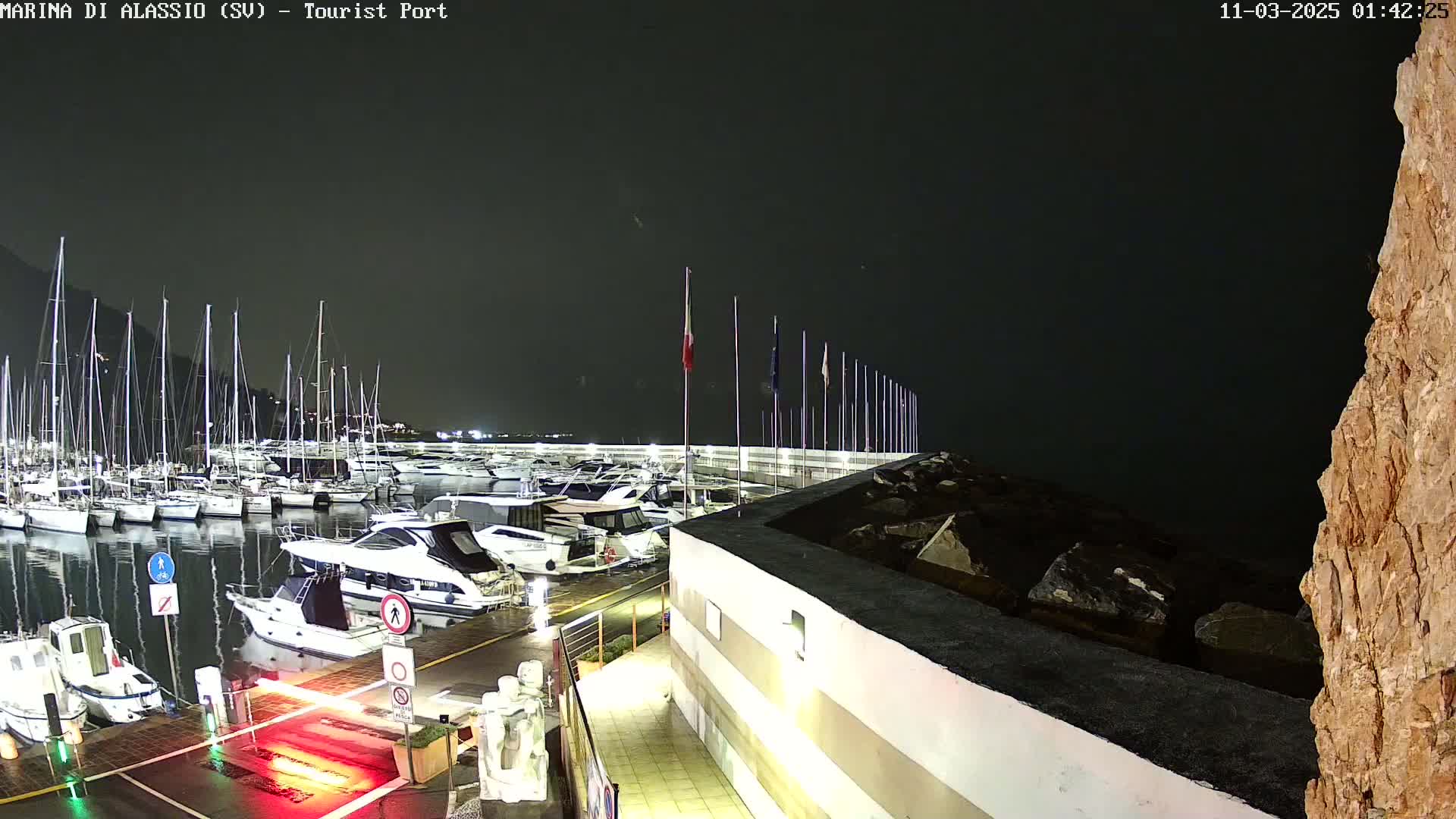 A nighttime view of a marina filled with boats, illuminated by artificial lights under a dark sky.