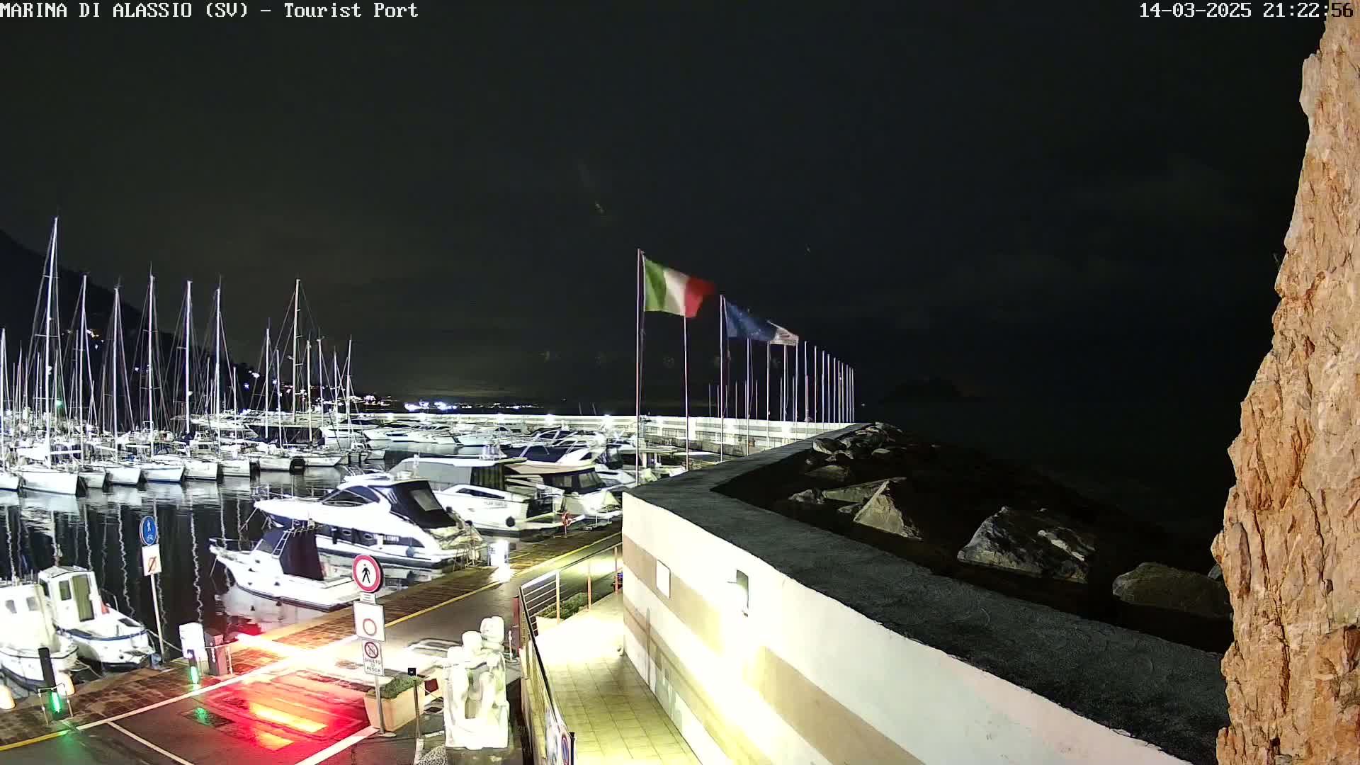 A nighttime view of a marina filled with boats, under a dark sky.