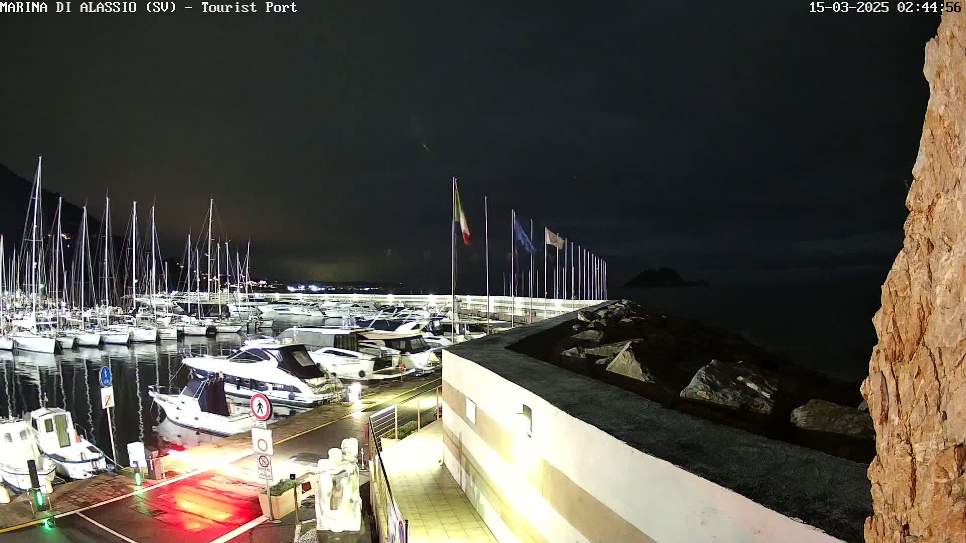 A nighttime view of a marina filled with sailboats and motorboats, under a dark sky.