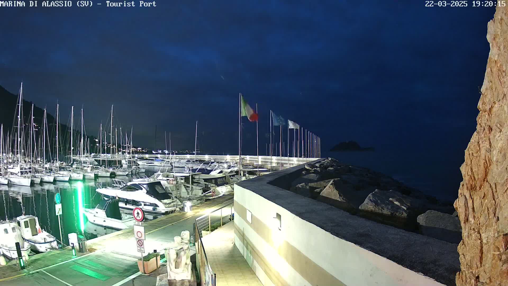 A marina filled with numerous boats at night under a dark blue, mostly clear sky.