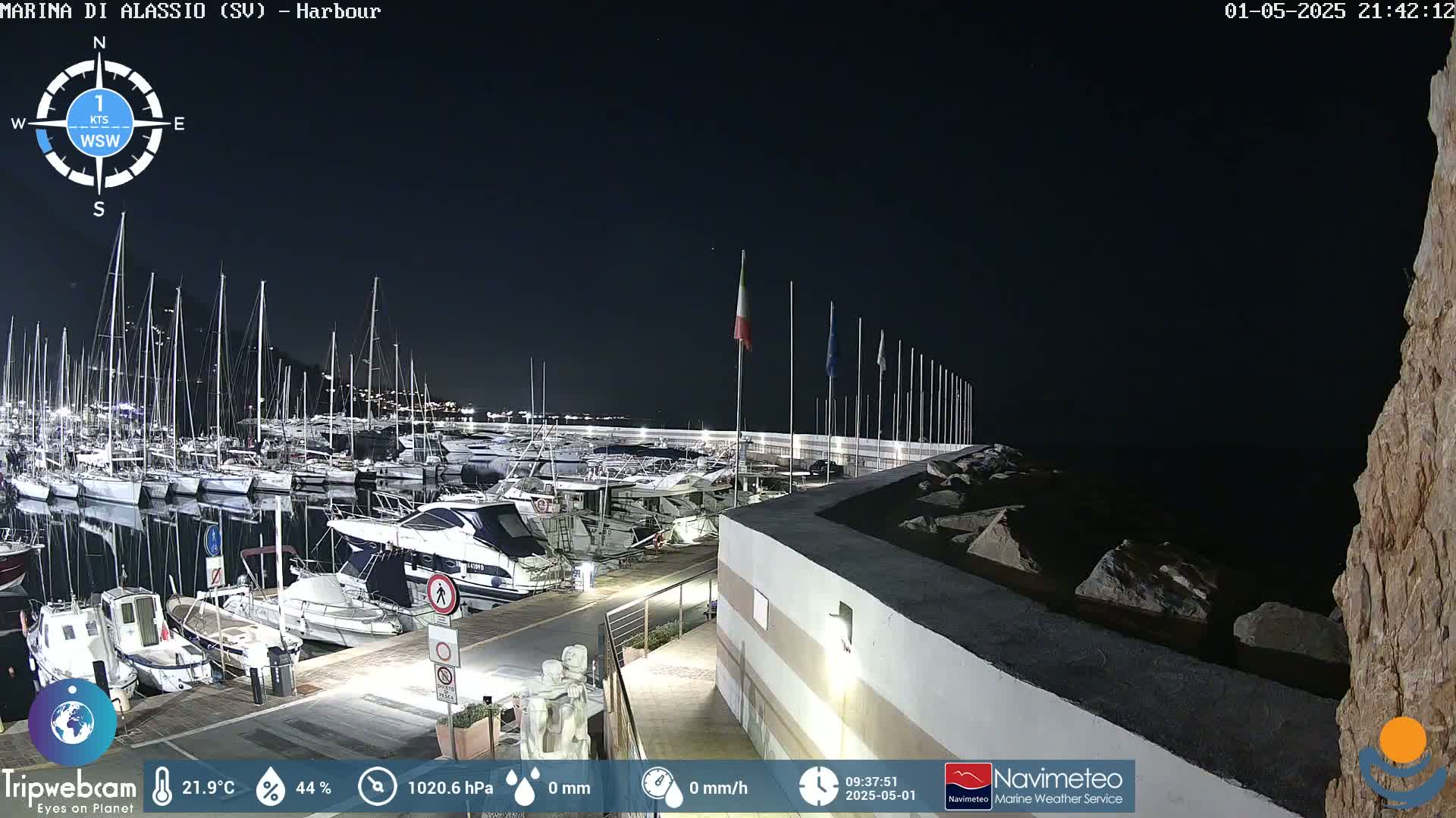 A nighttime view of a harbor filled with numerous boats and yachts, under a clear, dark sky.