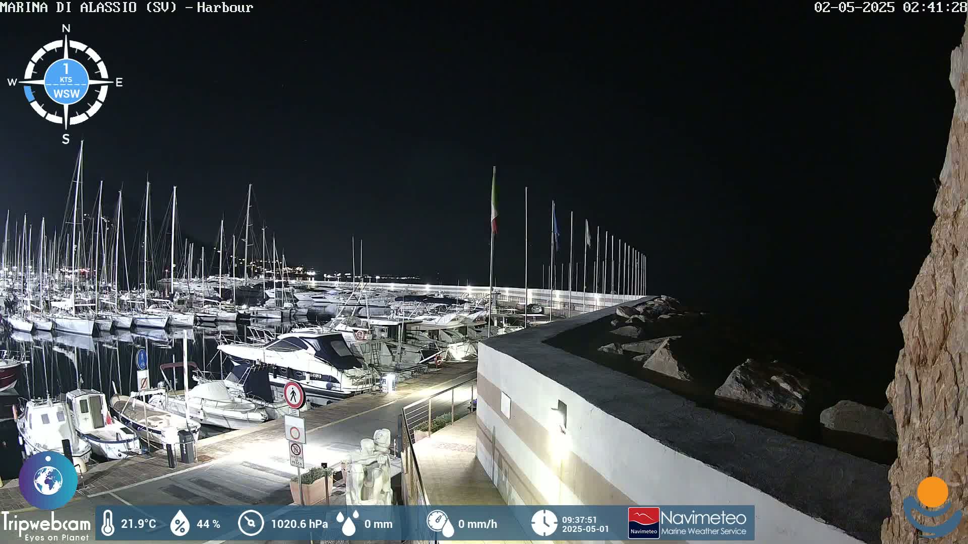 A nighttime view of a marina filled with boats, under a clear, dark sky.