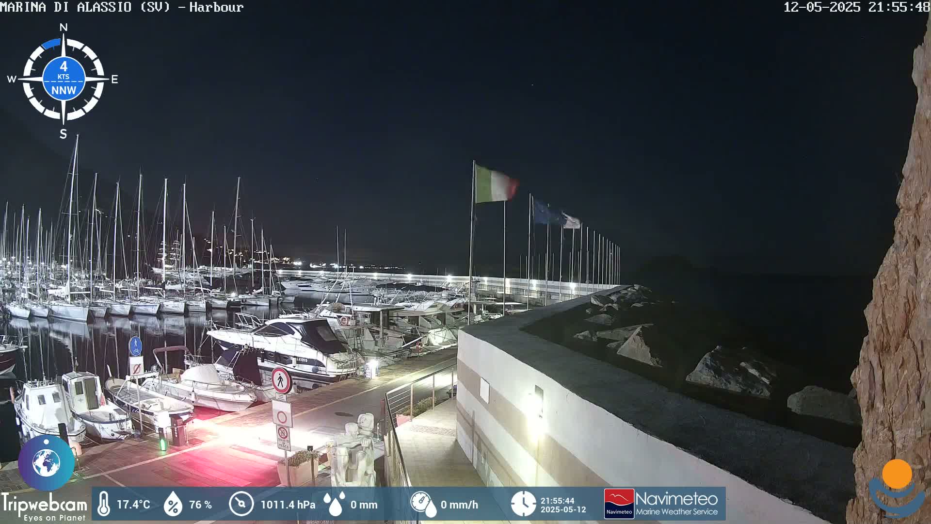 A nighttime view of a harbor filled with boats, under a clear dark sky.