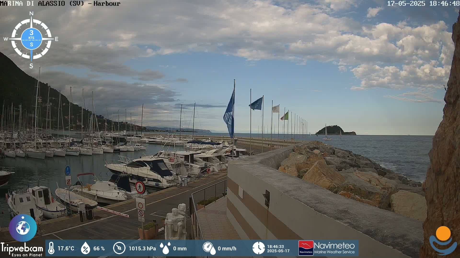 A harbor filled with numerous boats is seen under a partly cloudy sky.