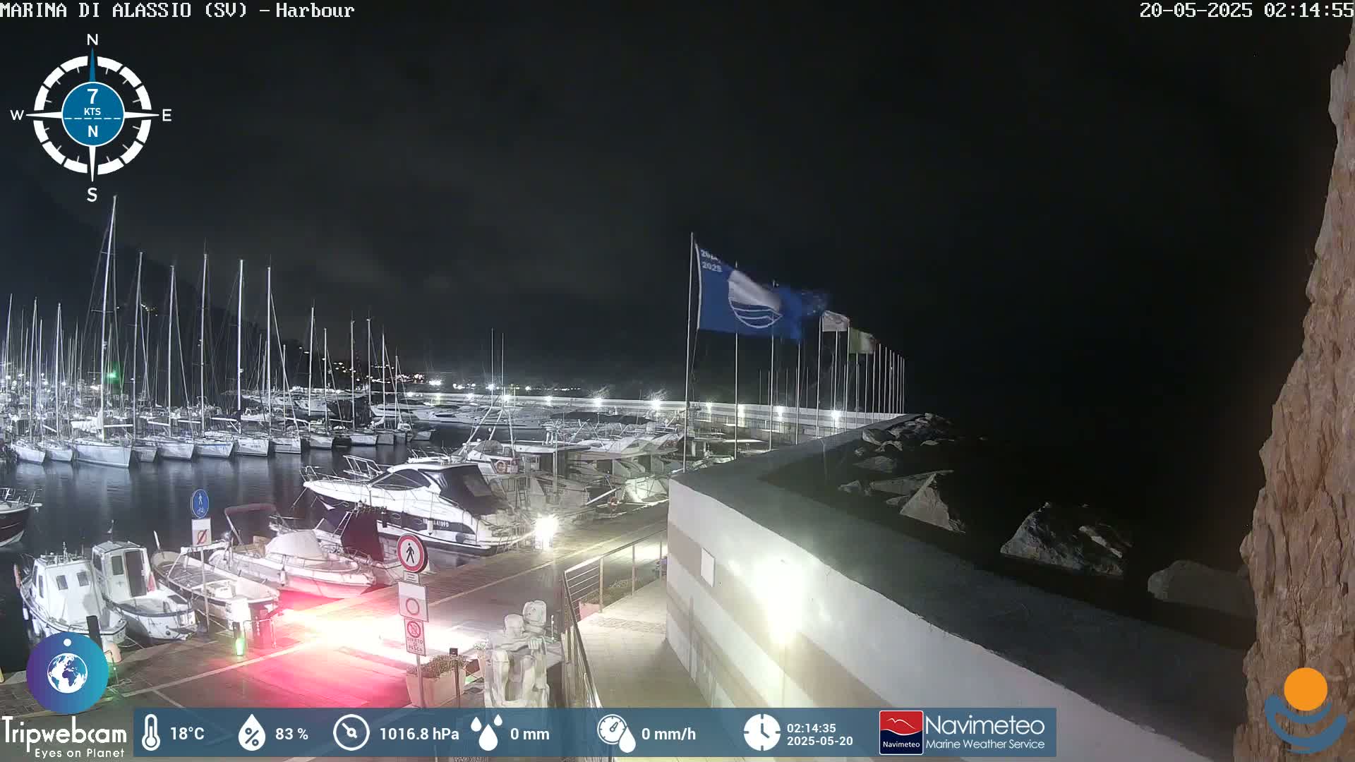 A nighttime harbor scene shows numerous boats moored at a marina, under a dark, clear sky.