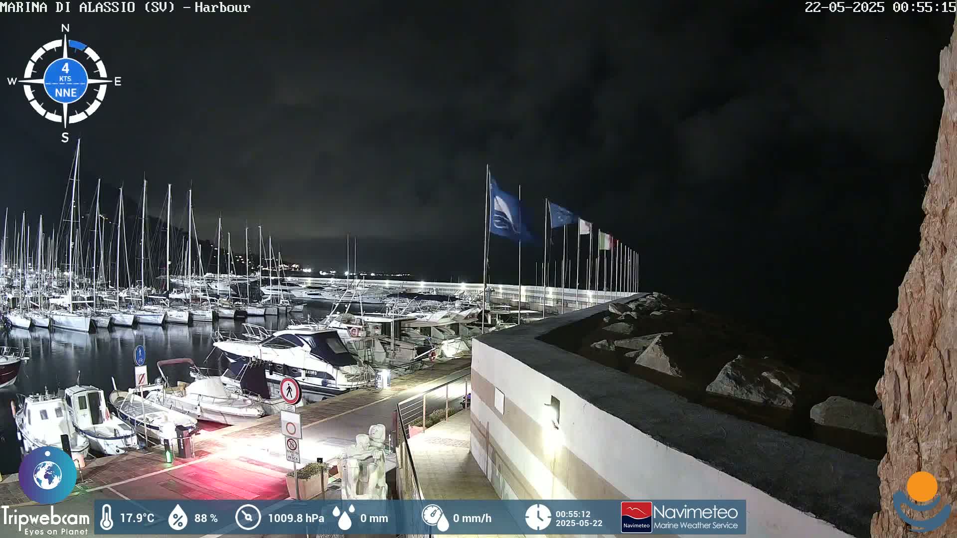 A nighttime view of a marina filled with boats, under a dark sky.