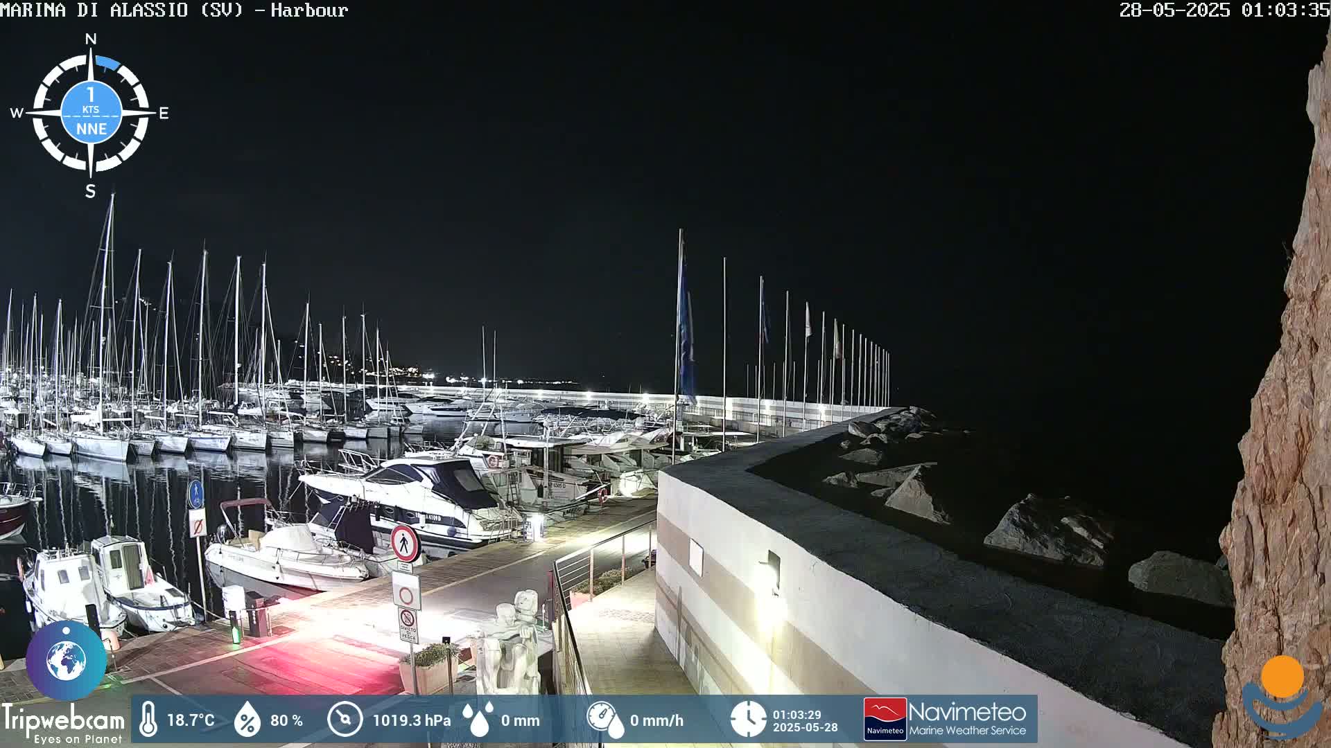 A nighttime view of a marina filled with docked sailboats and motorboats under a clear, dark sky.