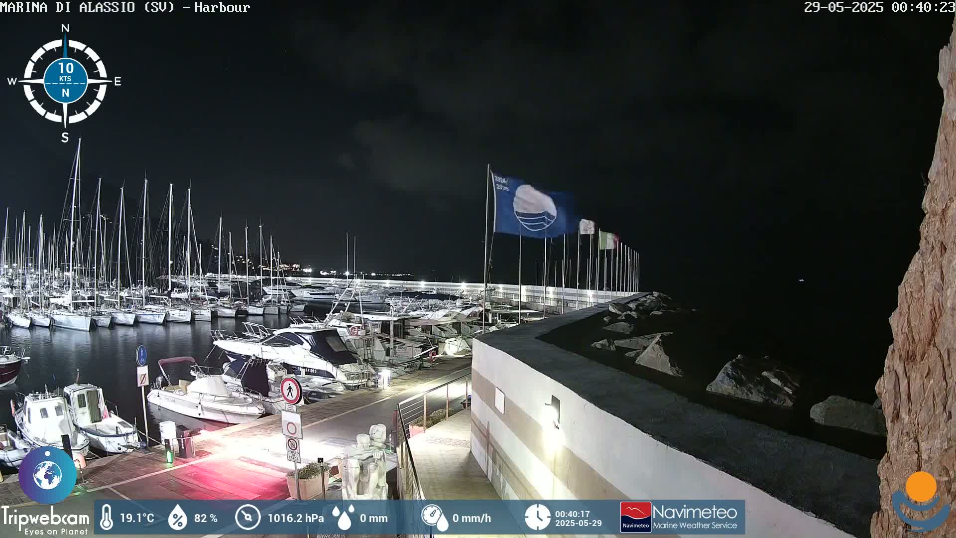 A nighttime view of a marina filled with boats under a clear, dark sky.