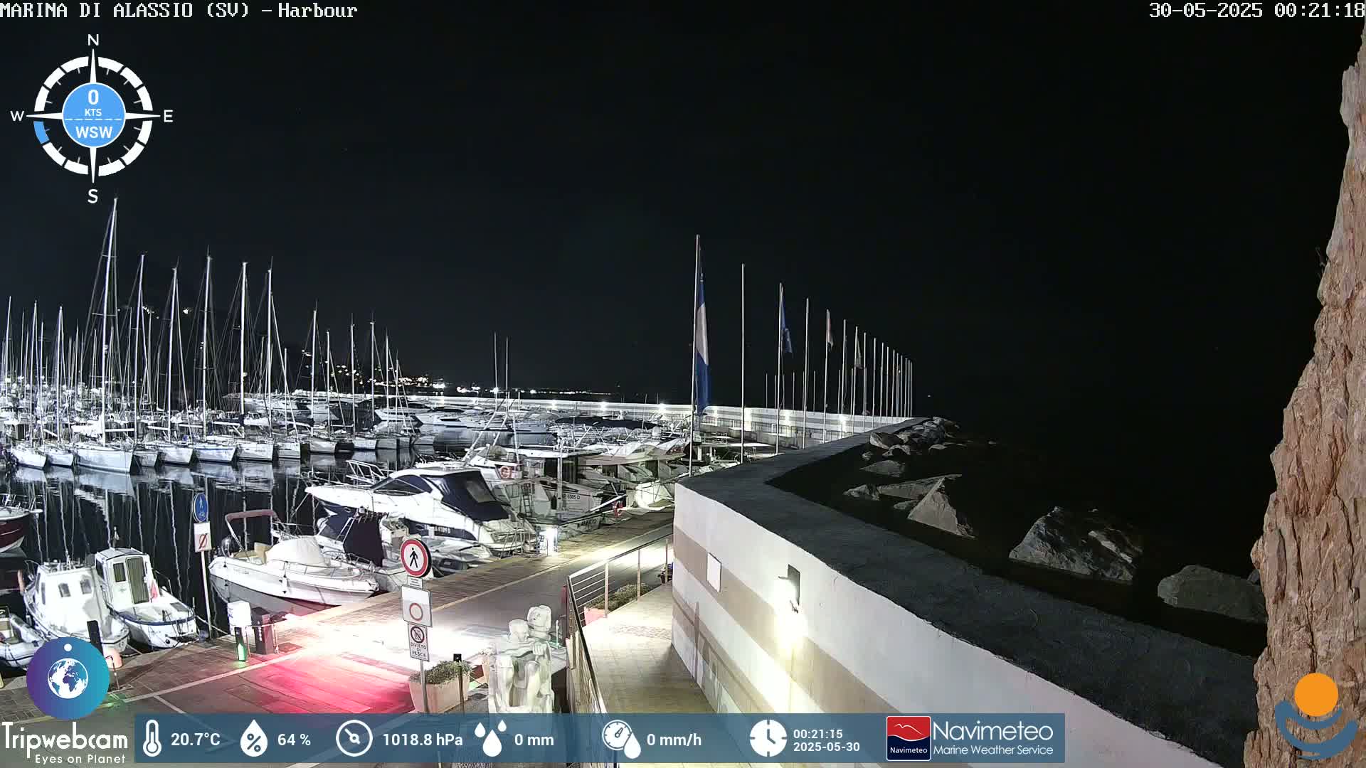 A nighttime view of a marina filled with docked boats under a clear, dark sky.