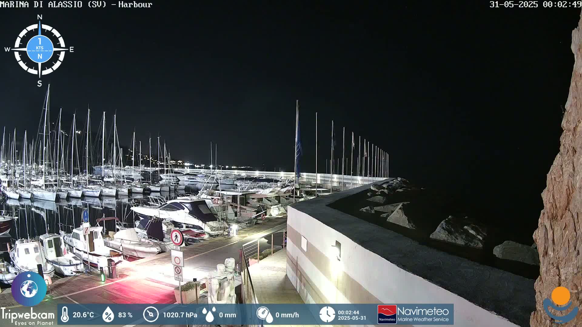 A nighttime view of a marina filled with numerous boats and yachts under a clear, dark sky.