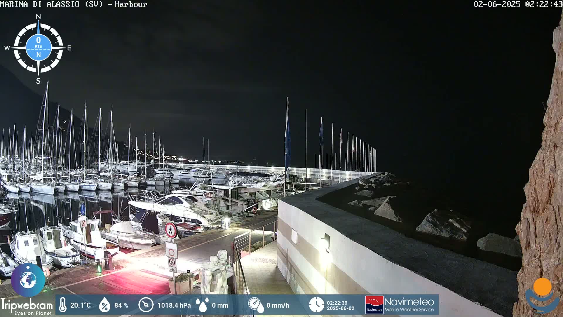 A nighttime harbor filled with numerous boats under a clear, dark sky.