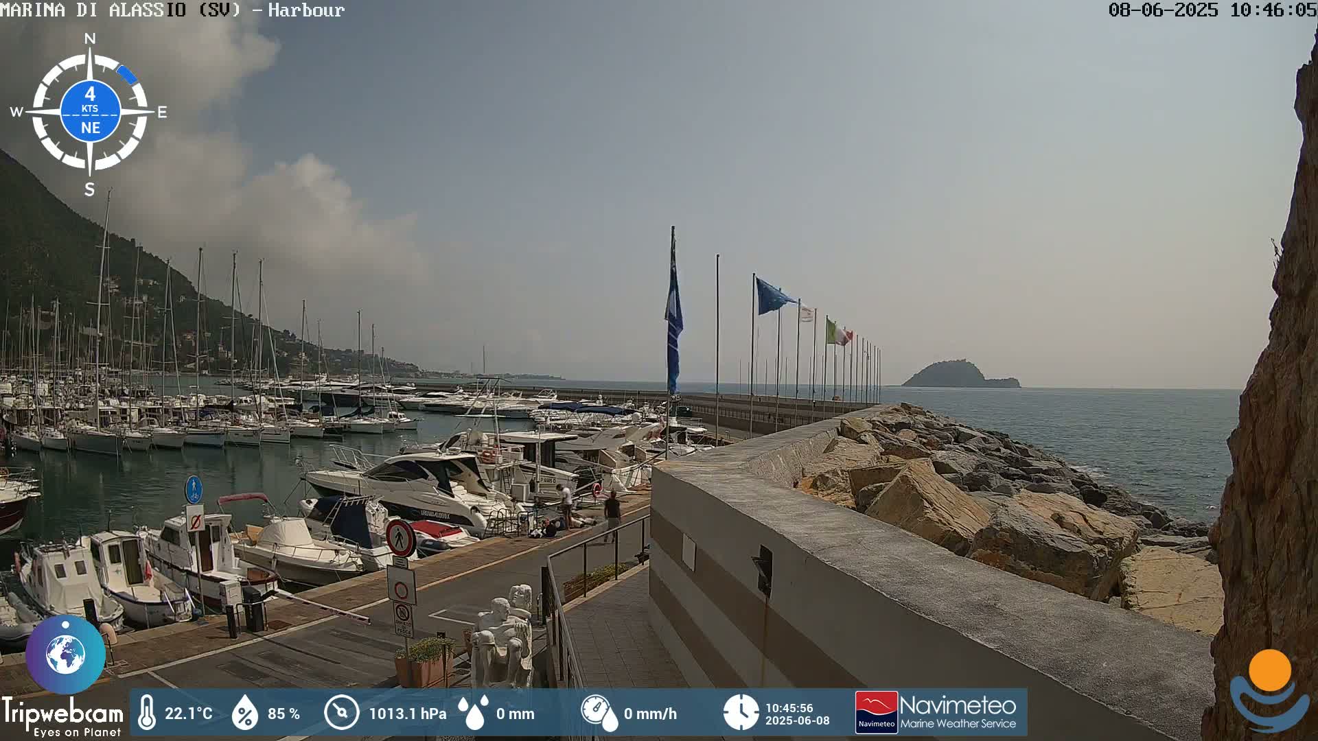 A harbor filled with boats is shown on a sunny day with a slight haze in the distance.