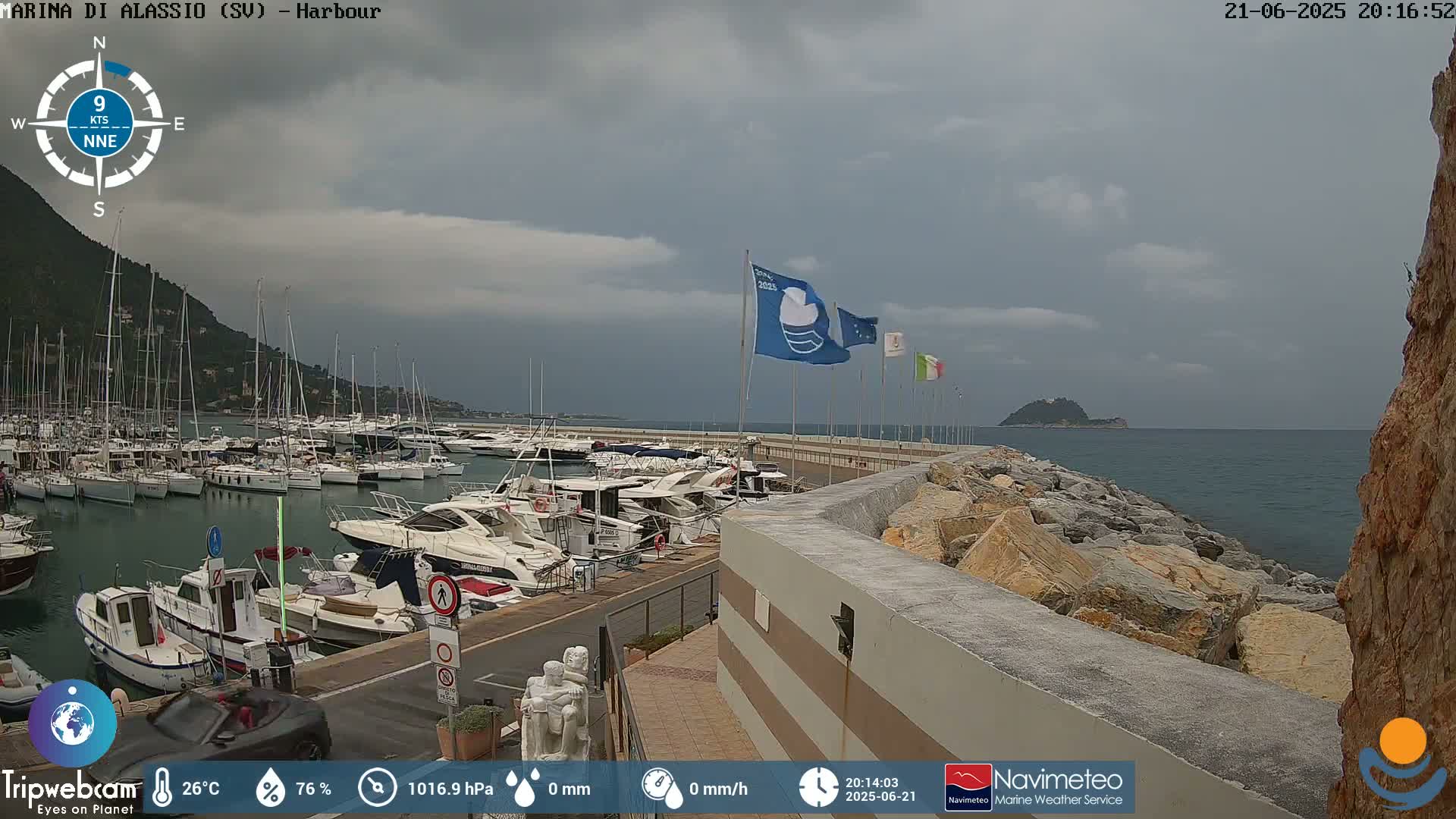 A harbor filled with numerous boats is shown under an overcast sky.
