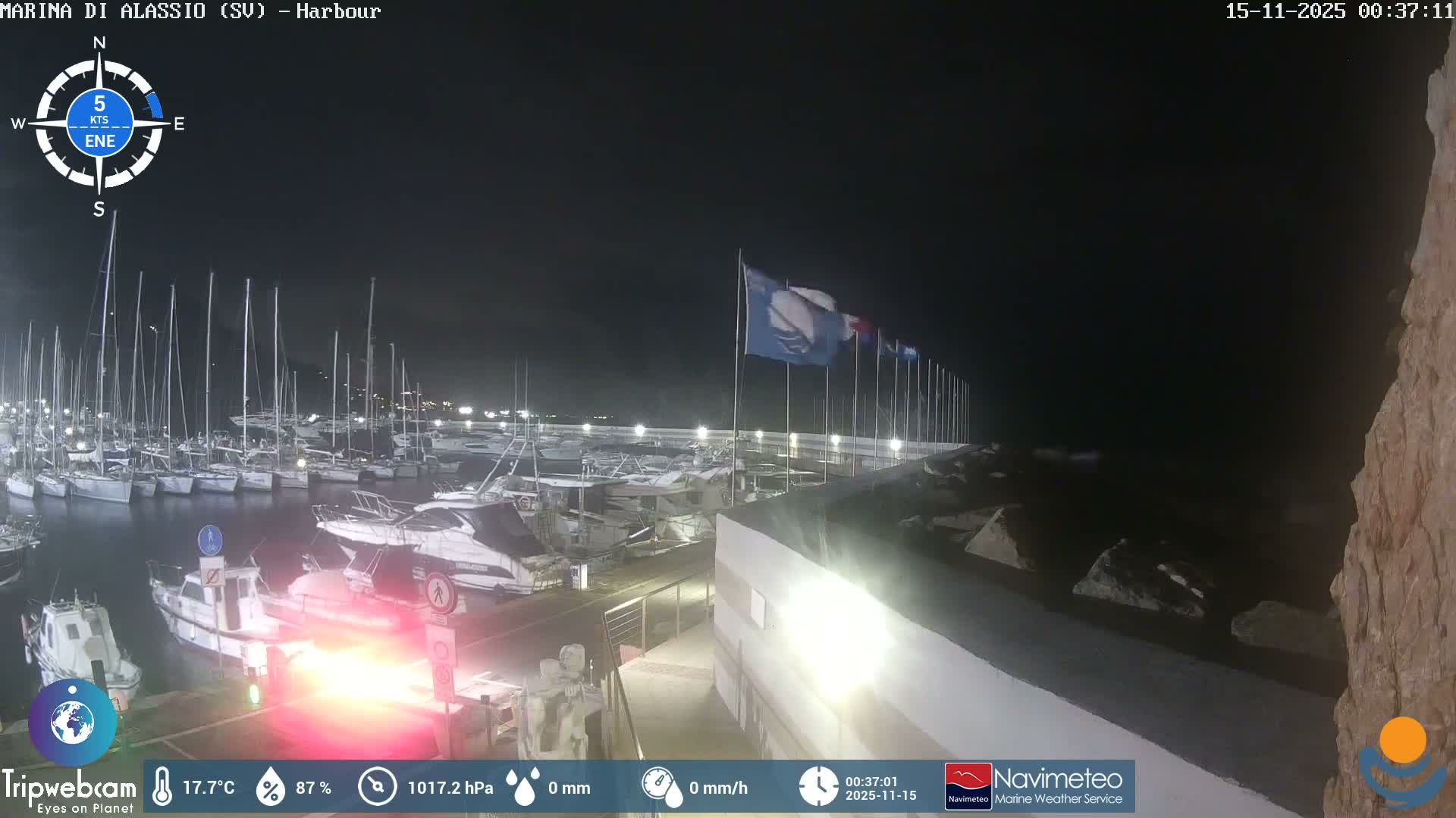 A busy marina at night is illuminated by numerous lights reflecting on calm water, showcasing many docked sailboats and motor yachts alongside a pier with flags, all under a clear, dark sky with a light breeze.