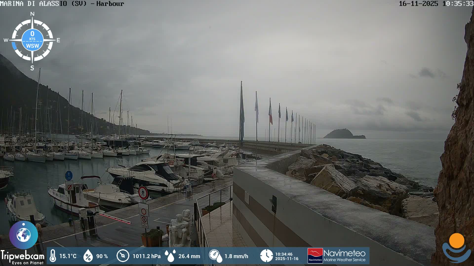 On a dreary, overcast day with wet surfaces suggesting recent rain, a bustling marina is filled with numerous boats, flanked by a steep, tree-covered mountain and a rocky coastline extending towards a distant island.