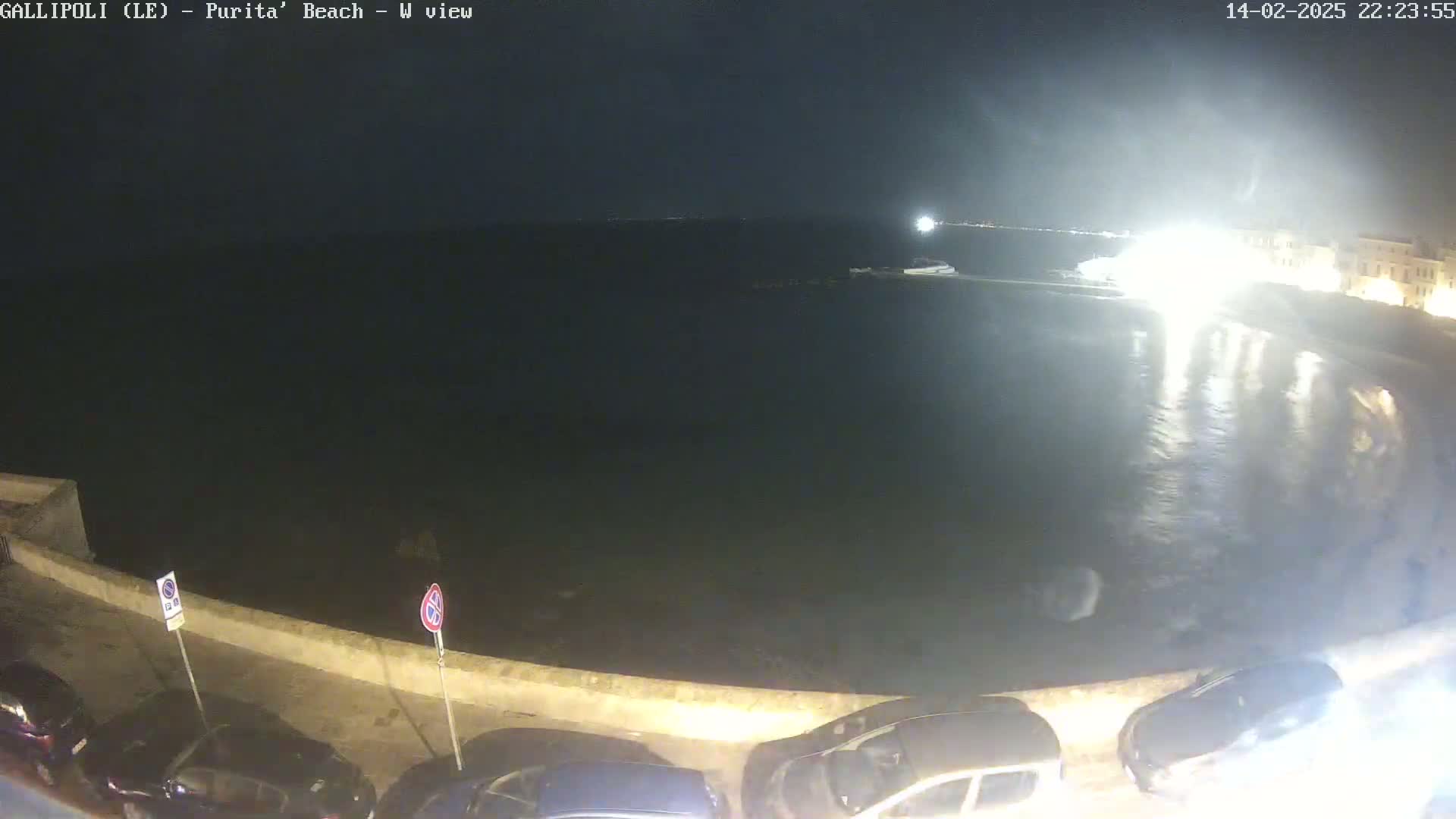 A nighttime view of a calm body of water next to a roadway with parked cars, under a dark sky.