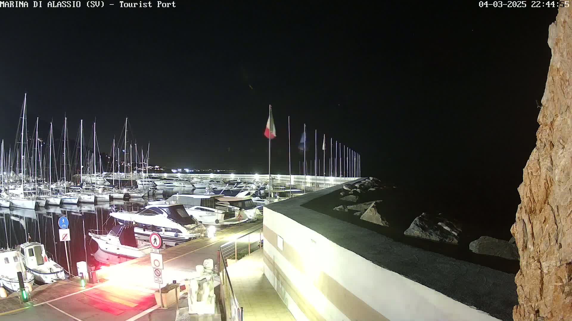 A nighttime view of a marina filled with boats, under a clear, dark sky.