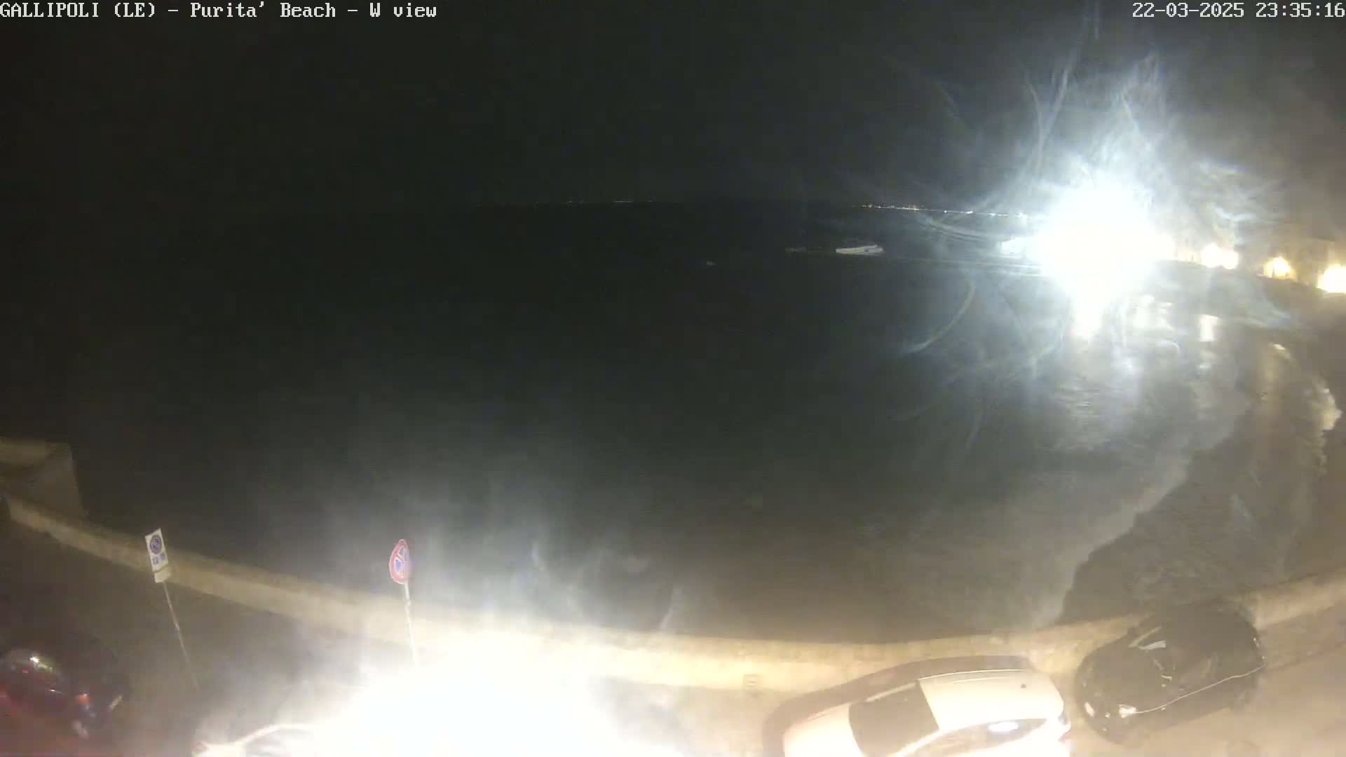 A nighttime view of a dark body of water next to a roadway with parked cars, under hazy conditions.