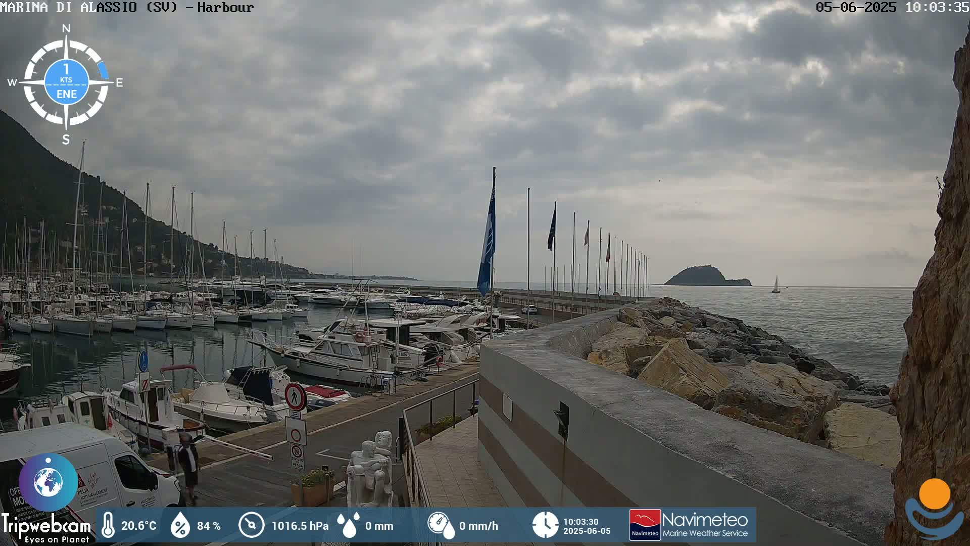 A harbor filled with numerous boats is situated under an overcast sky.