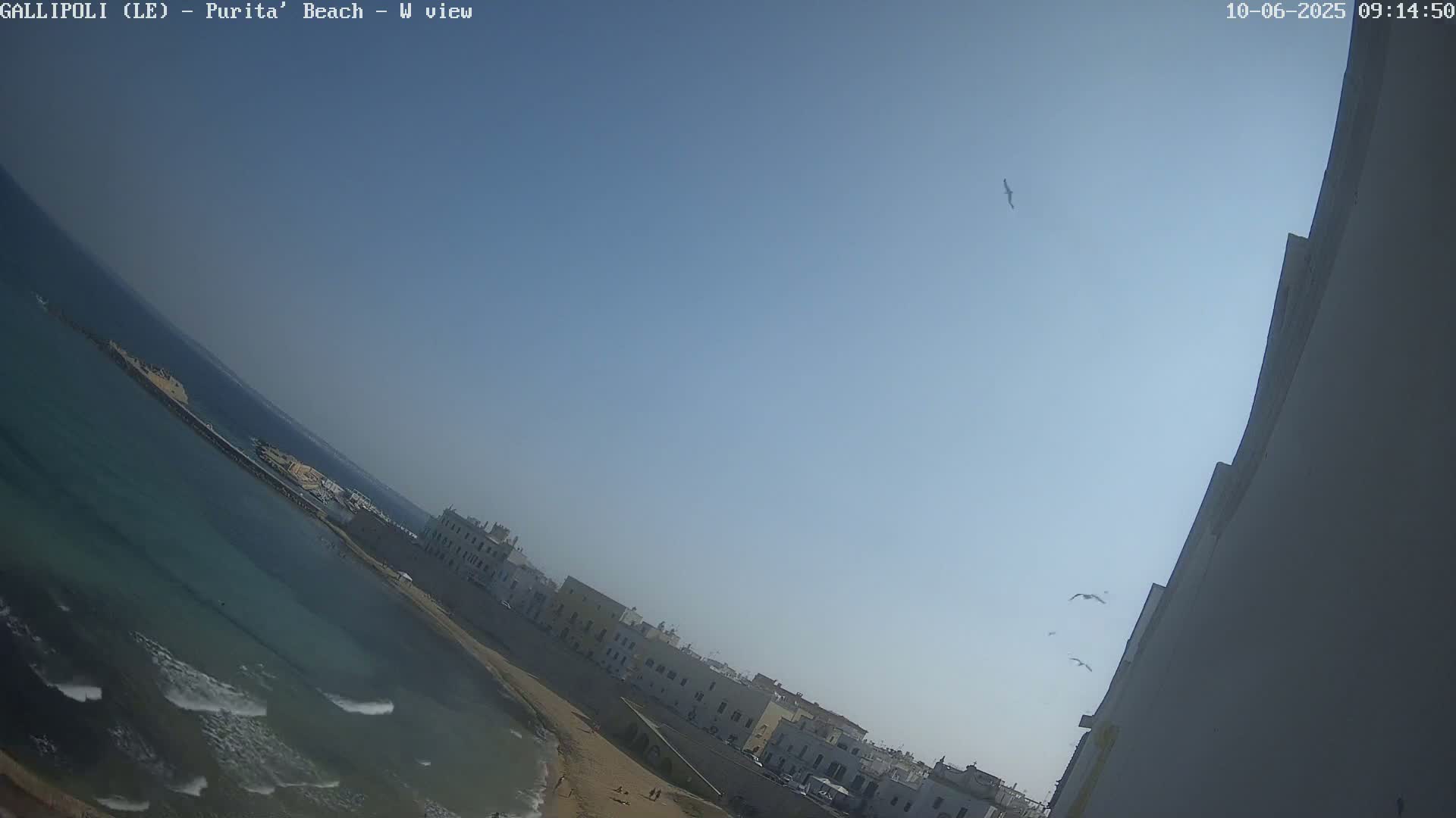 A high-angle view shows a beach with light-colored buildings along the coast on a clear, sunny day, with a few birds flying in the sky and waves gently lapping the shore.