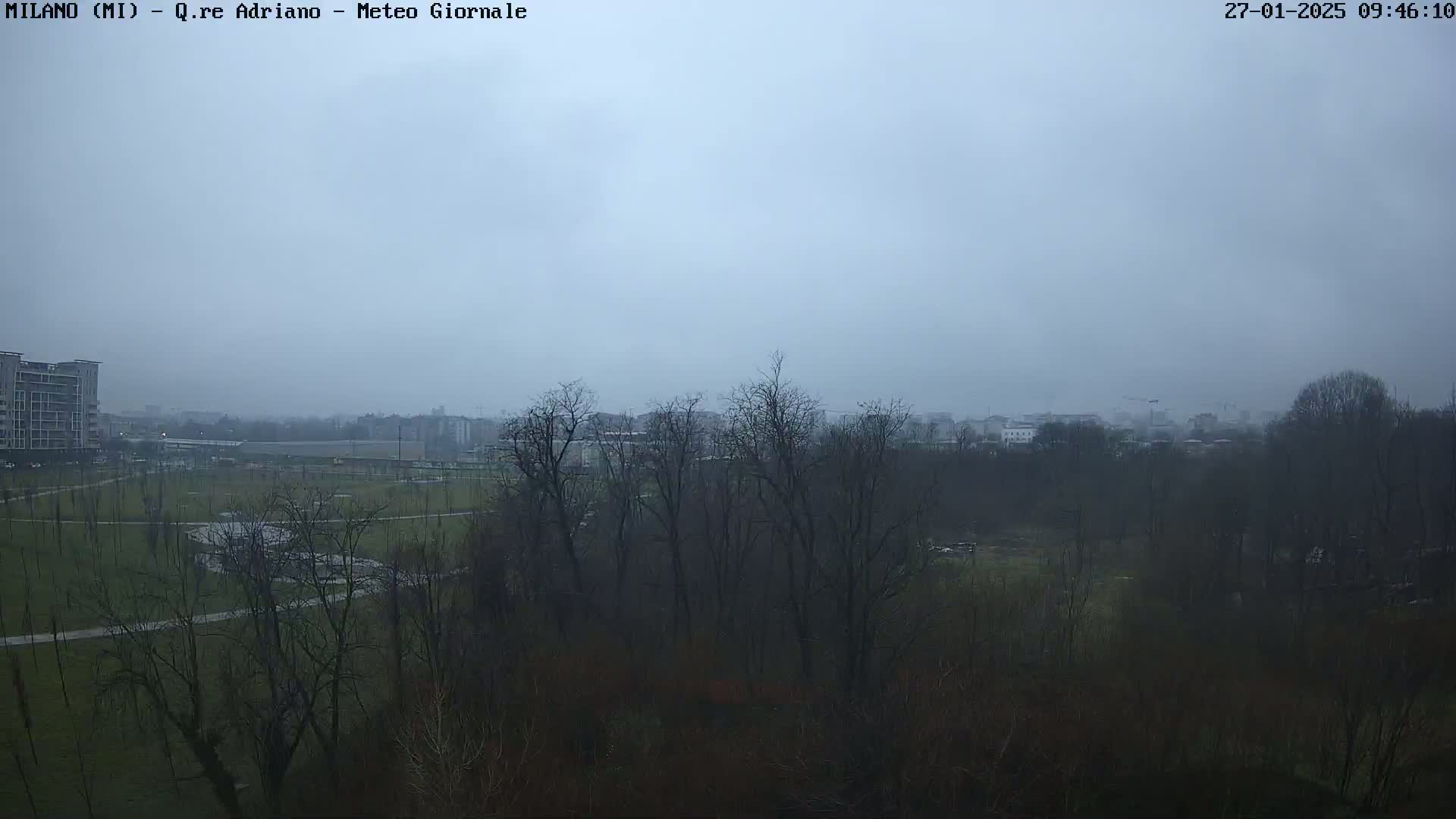 A view of a park with bare trees under an overcast sky on a foggy or misty day, showing buildings in the distance.
