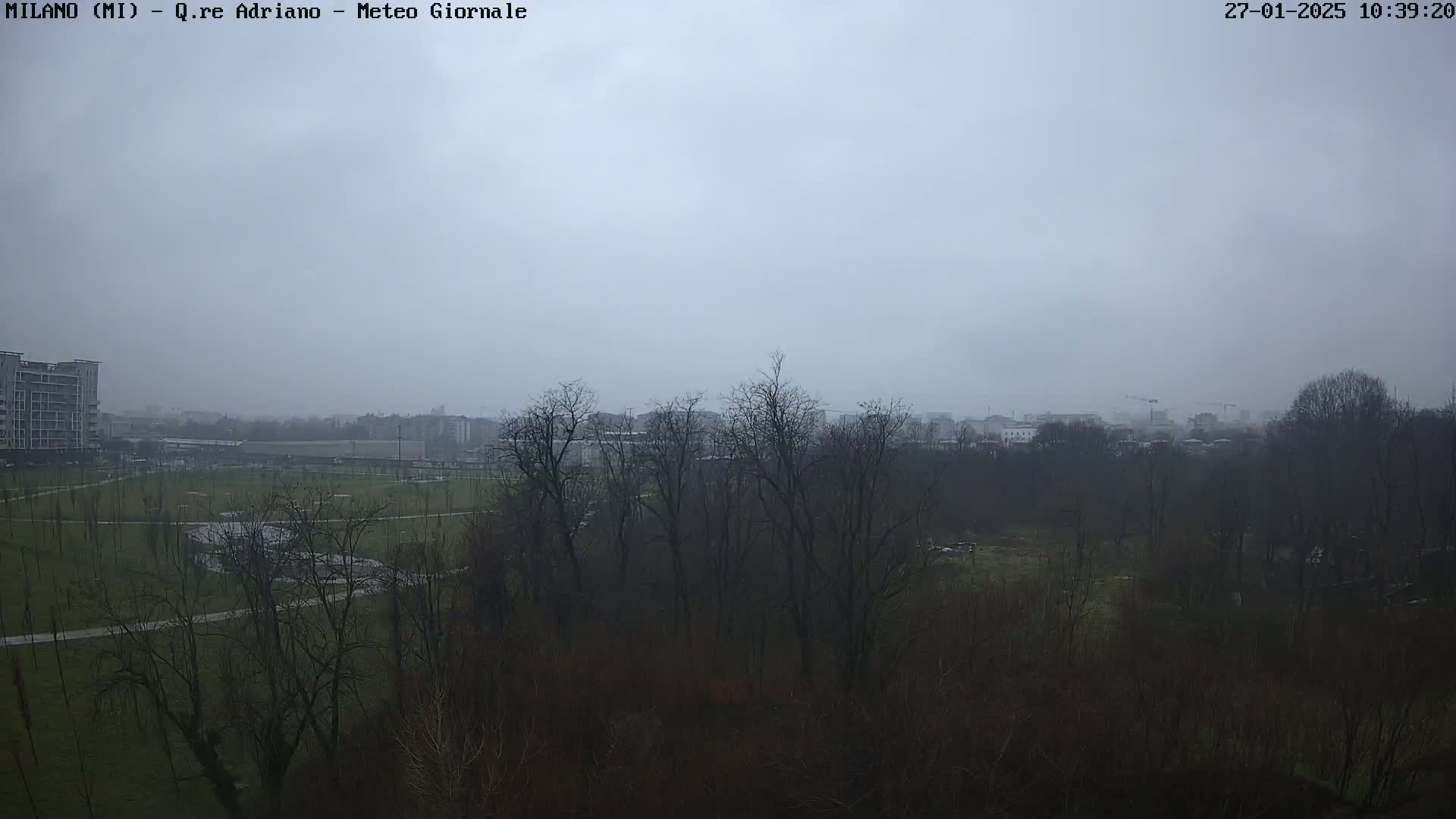A view of a park with bare trees and buildings in the distance under a hazy, overcast sky.