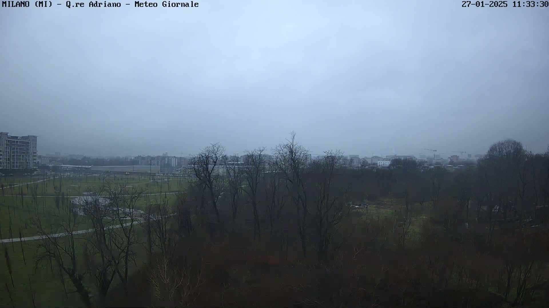 A view of a park and distant city buildings on an overcast day.