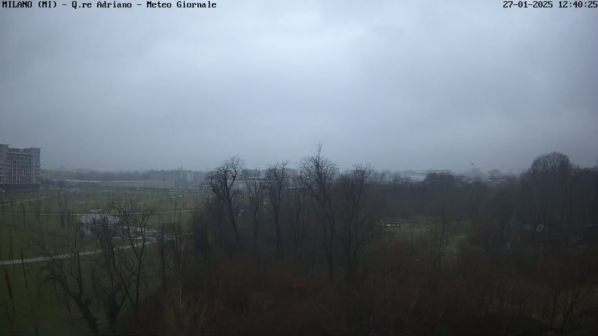 A hazy, overcast day reveals a park-like area with leafless trees and a building in the distance.