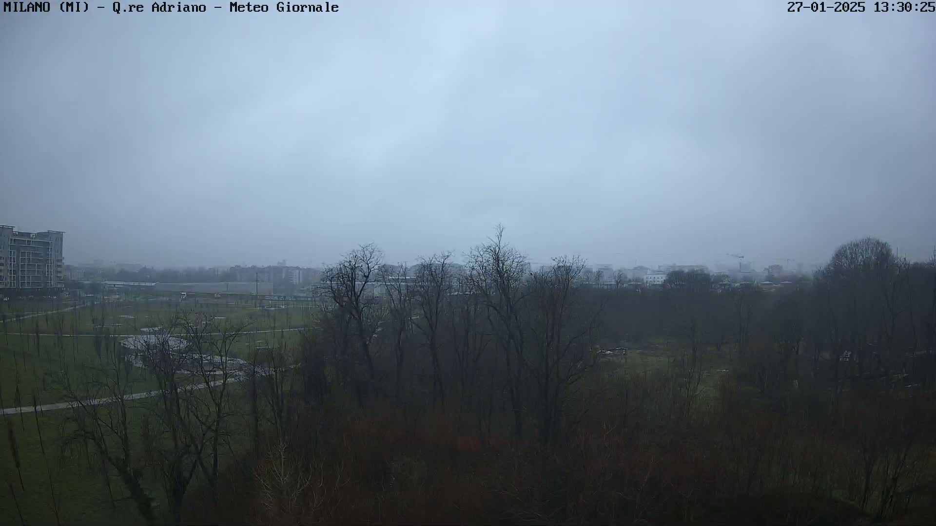 A view of a park with bare trees under an overcast sky, showing buildings in the distance.