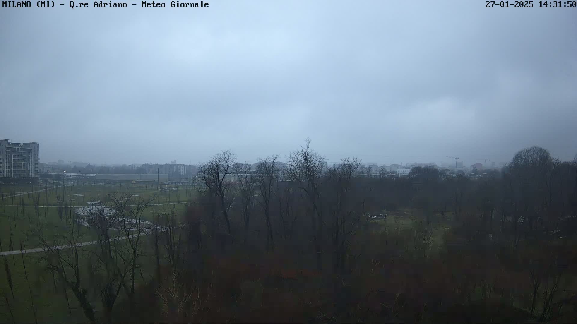 A view of a park with bare trees under a gray, overcast sky.