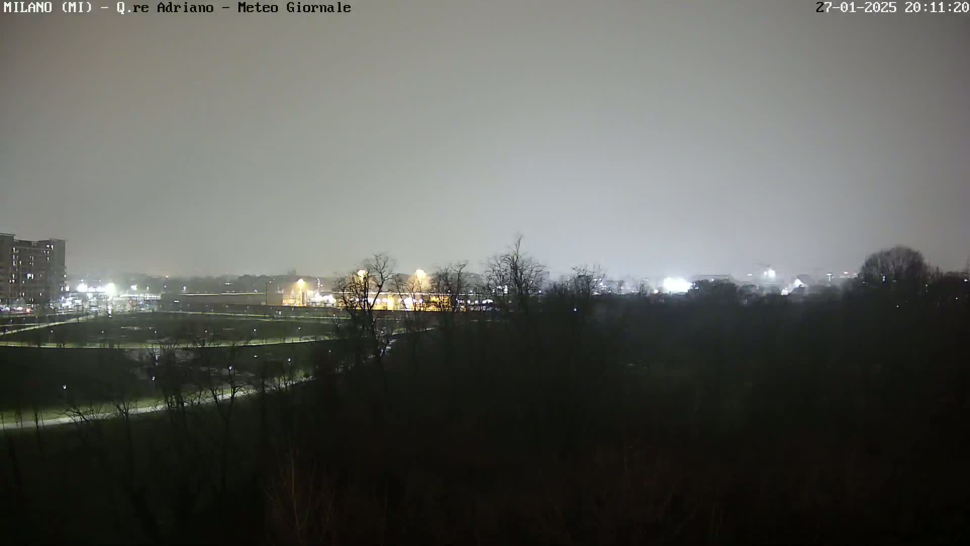 A nighttime view of a park and city buildings under a hazy, overcast sky.