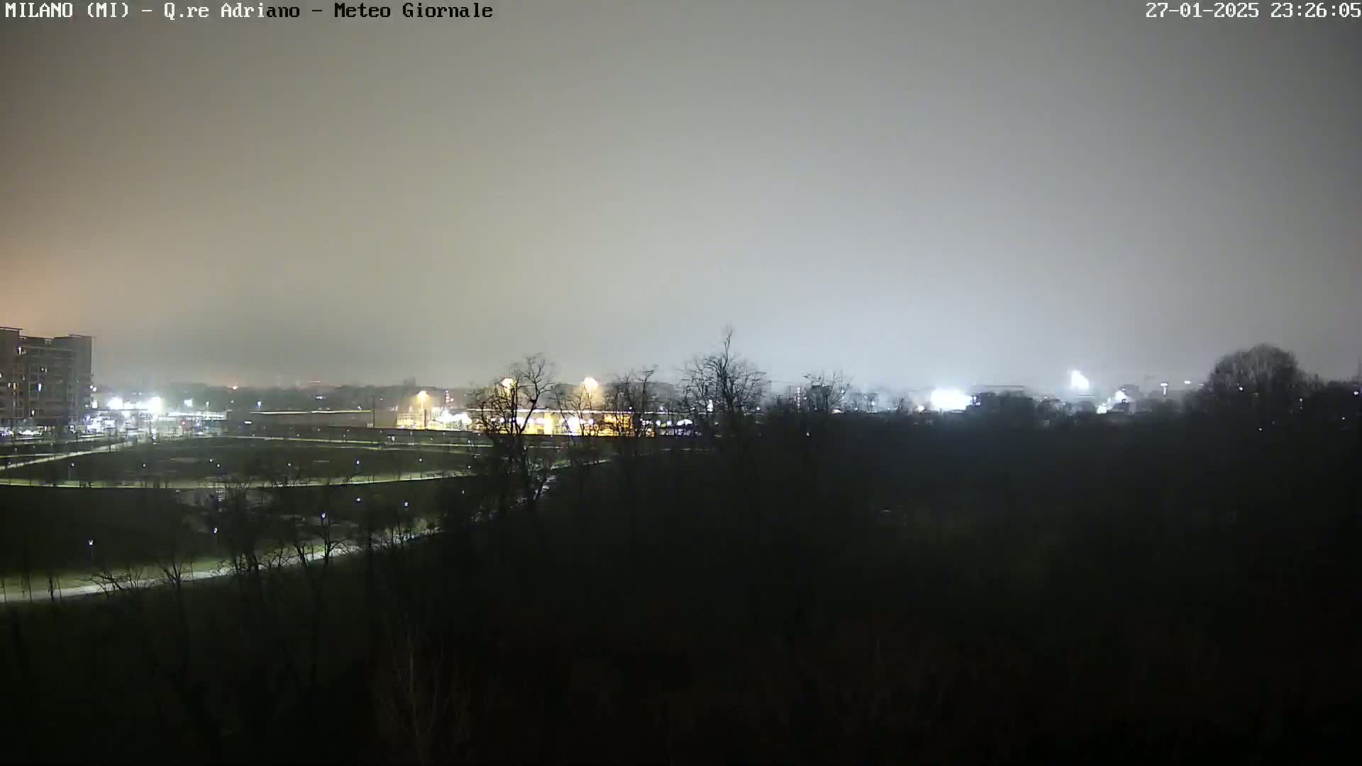 A nighttime view of a city park, buildings, and trees under a hazy, overcast sky.