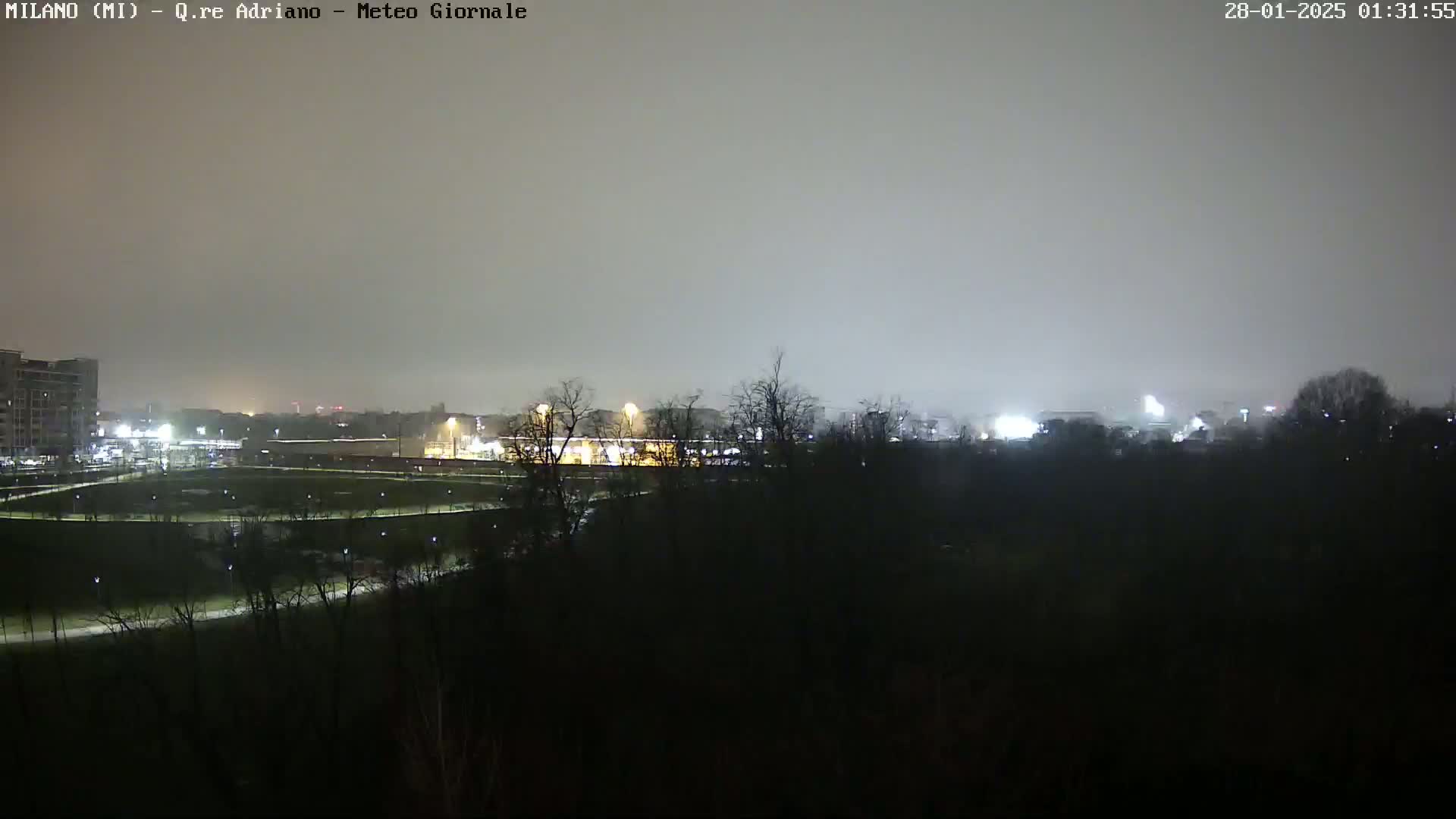 A nighttime view of a park and city skyline under a hazy, overcast sky.