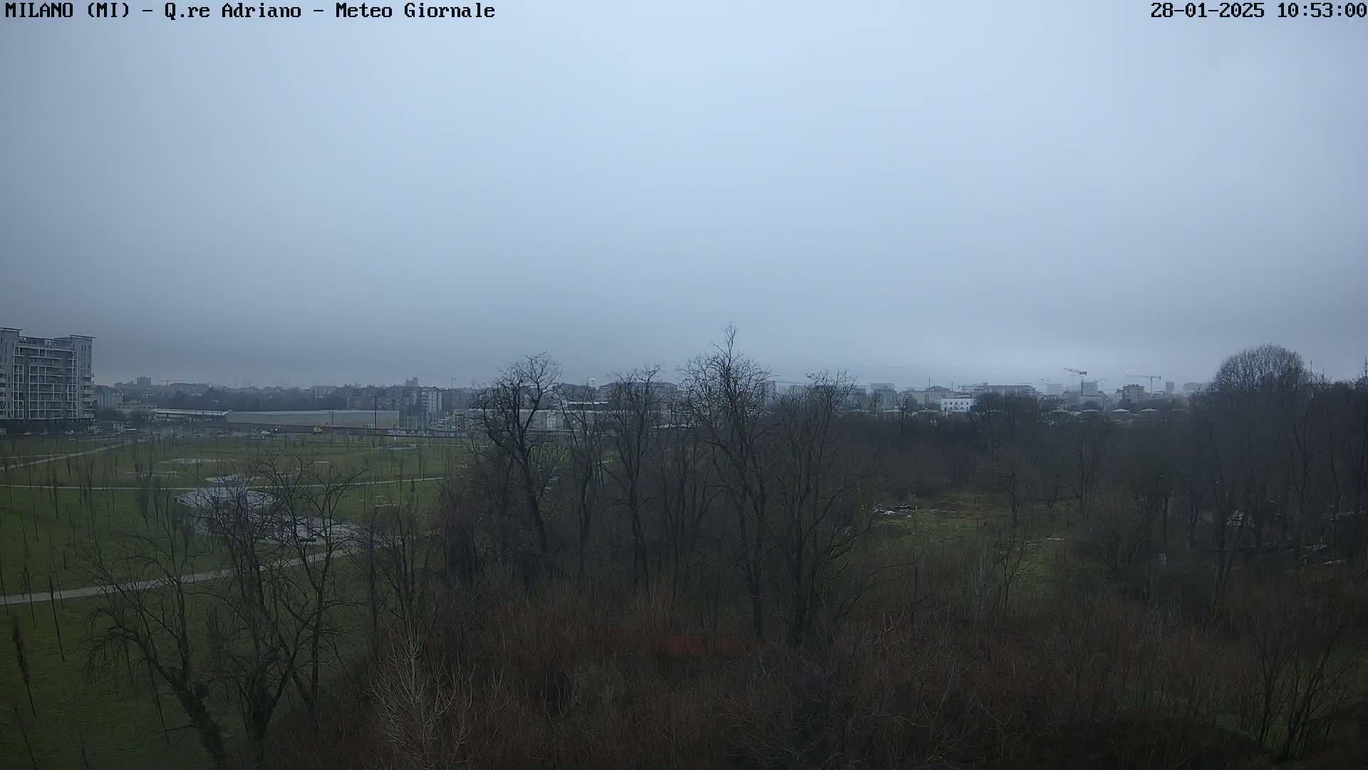 A view of a park and city skyline on an overcast day, with bare trees dominating the foreground.