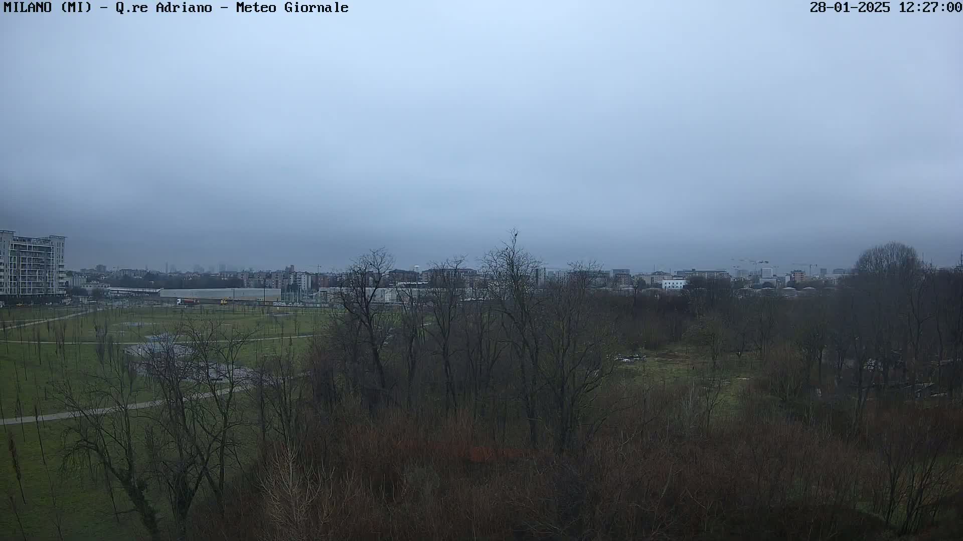 A view of a park with leafless trees and a city skyline in the distance under an overcast sky.